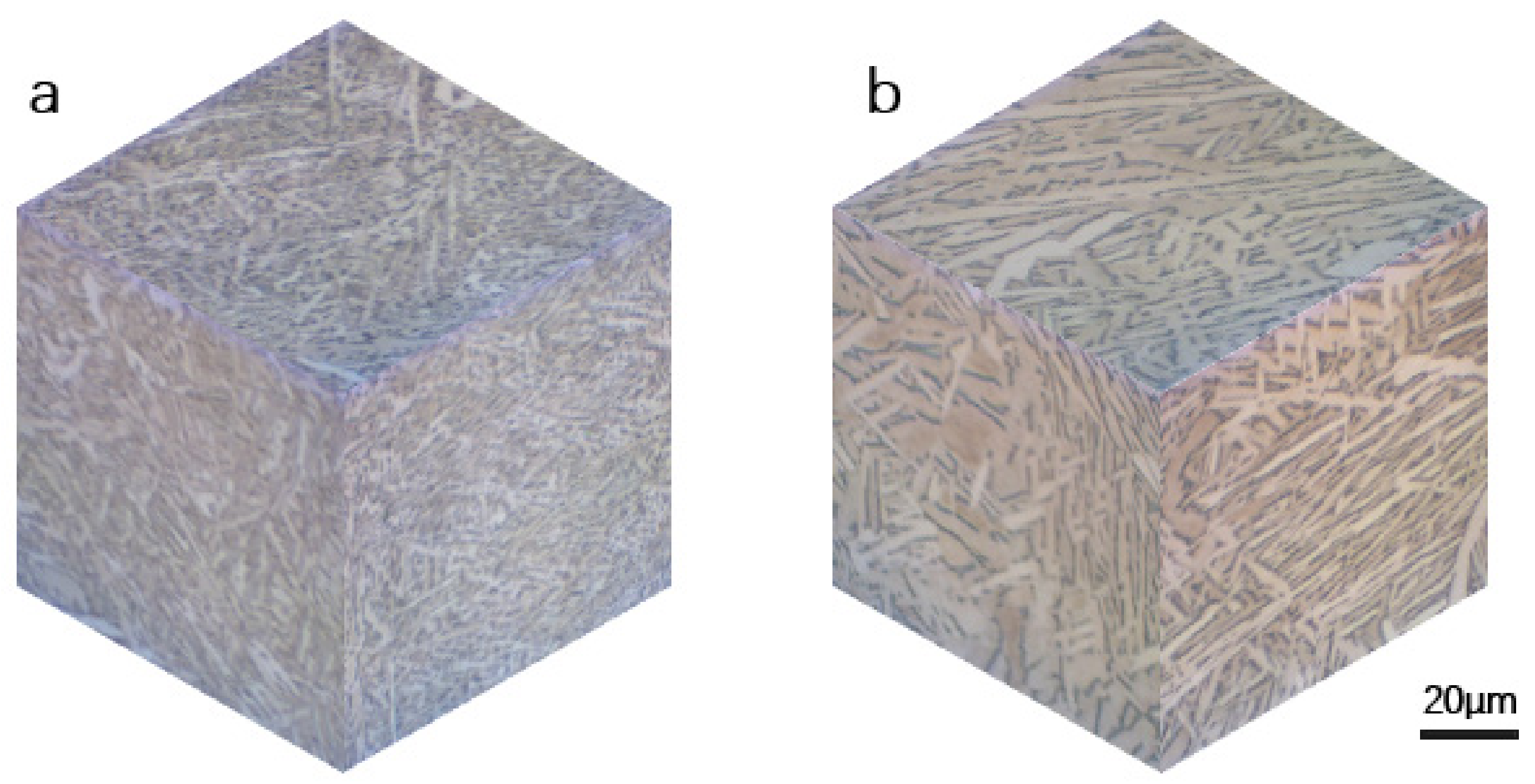 Materials 14 06276 g005