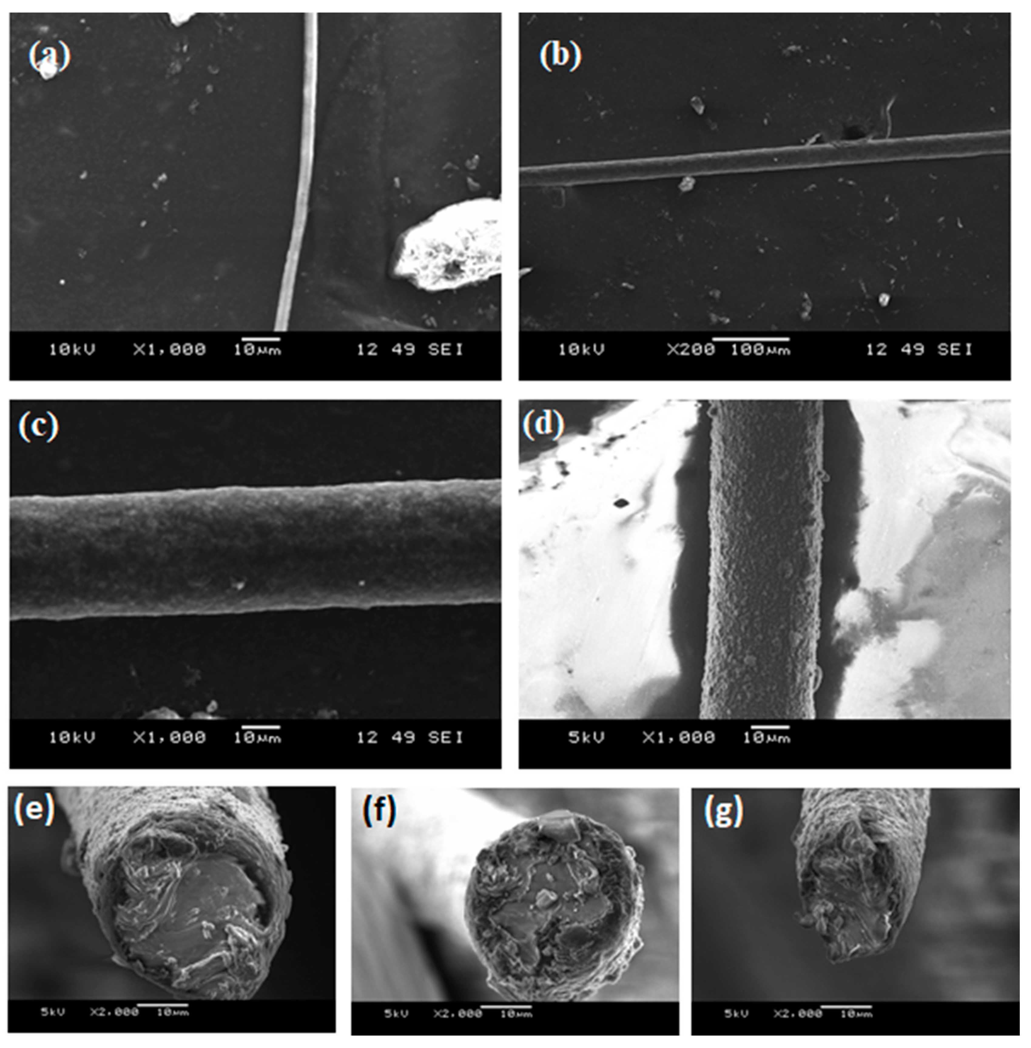 Materials 14 06288 g004