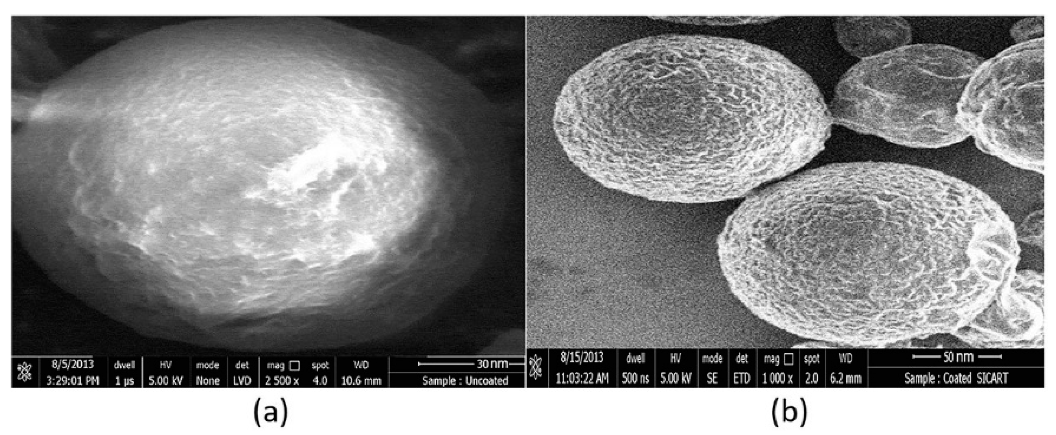 Materials 14 06291 g008