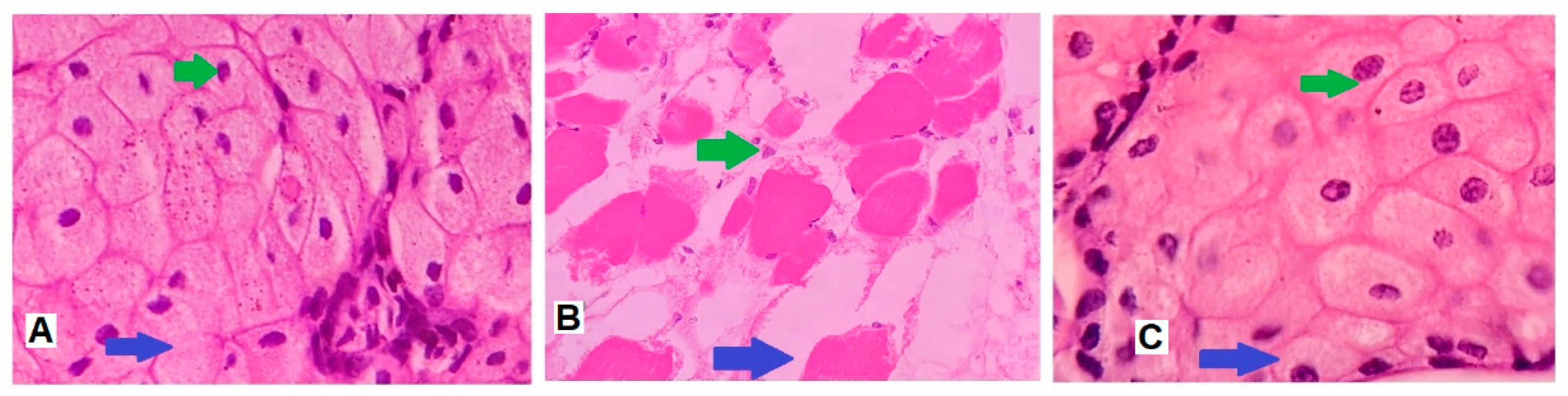 Materials 14 06291 g010