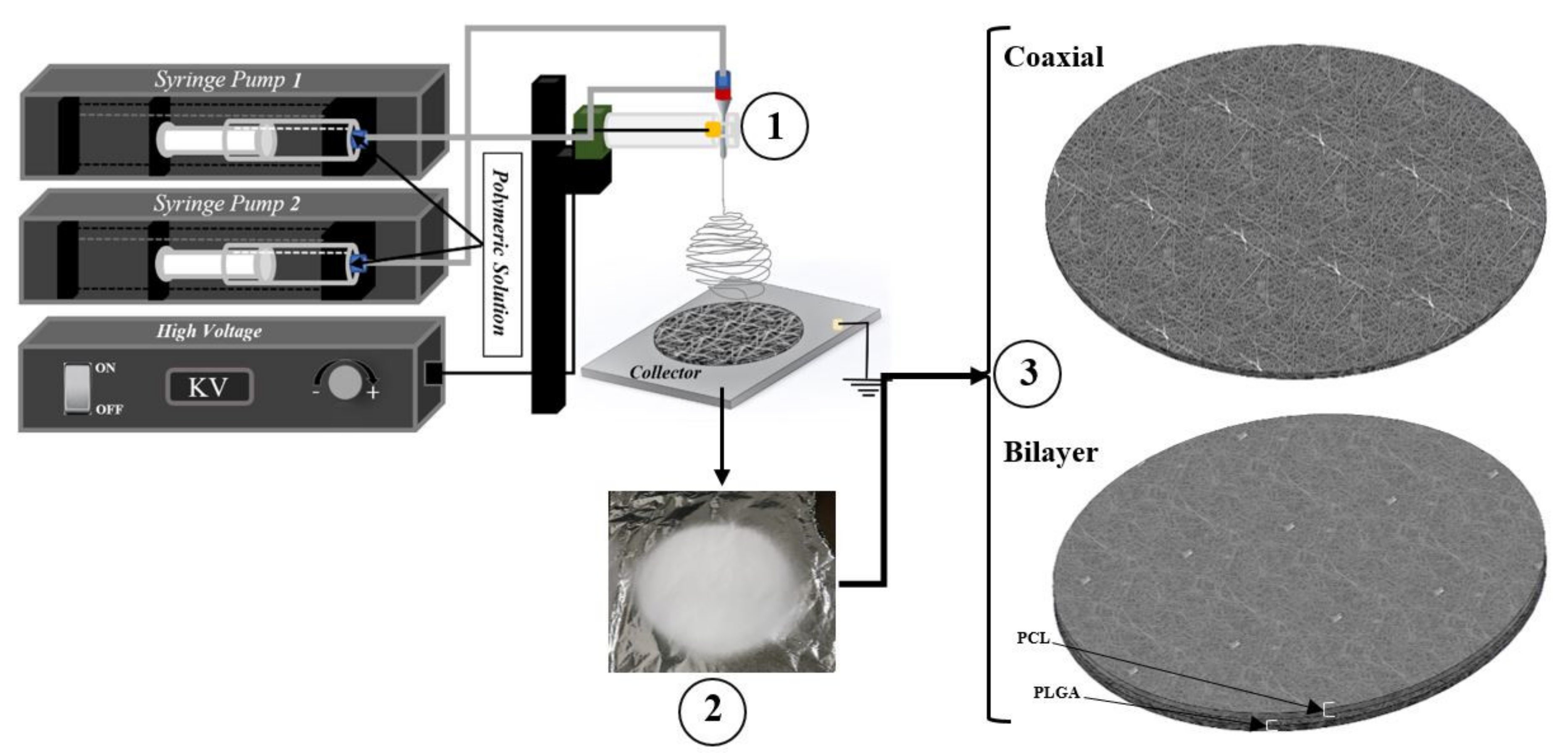 Materials 14 06295 g002