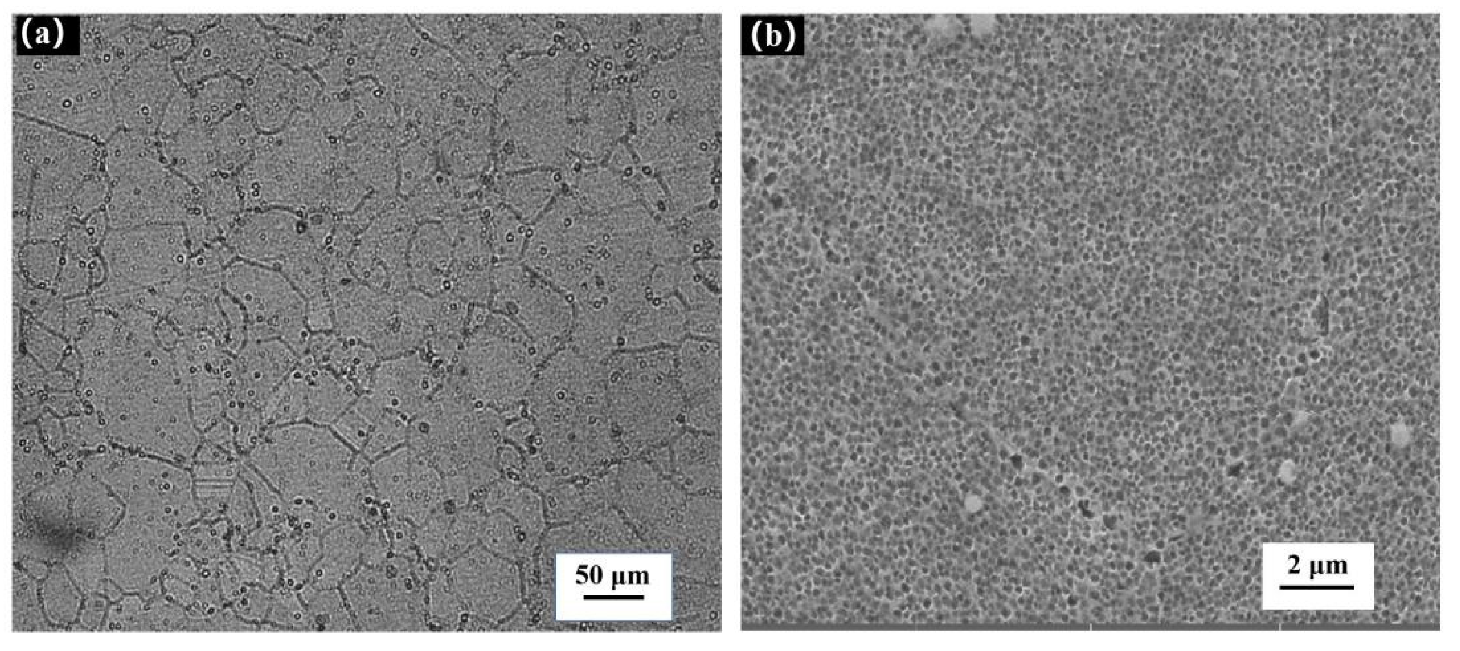 Materials 14 06298 g003a