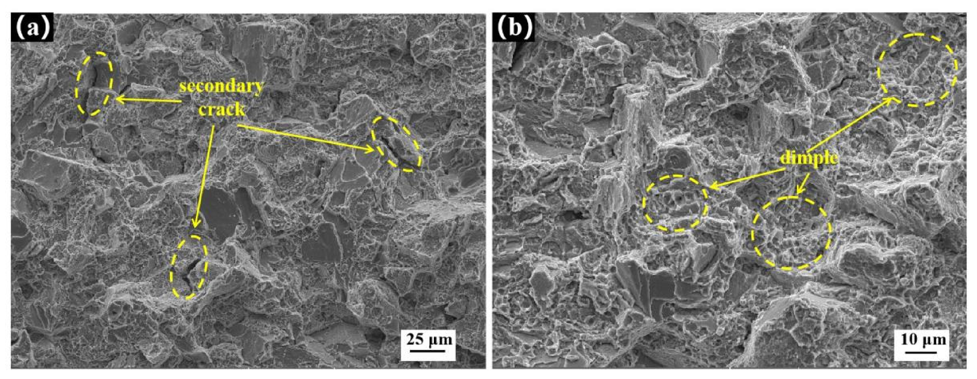 Materials 14 06298 g006