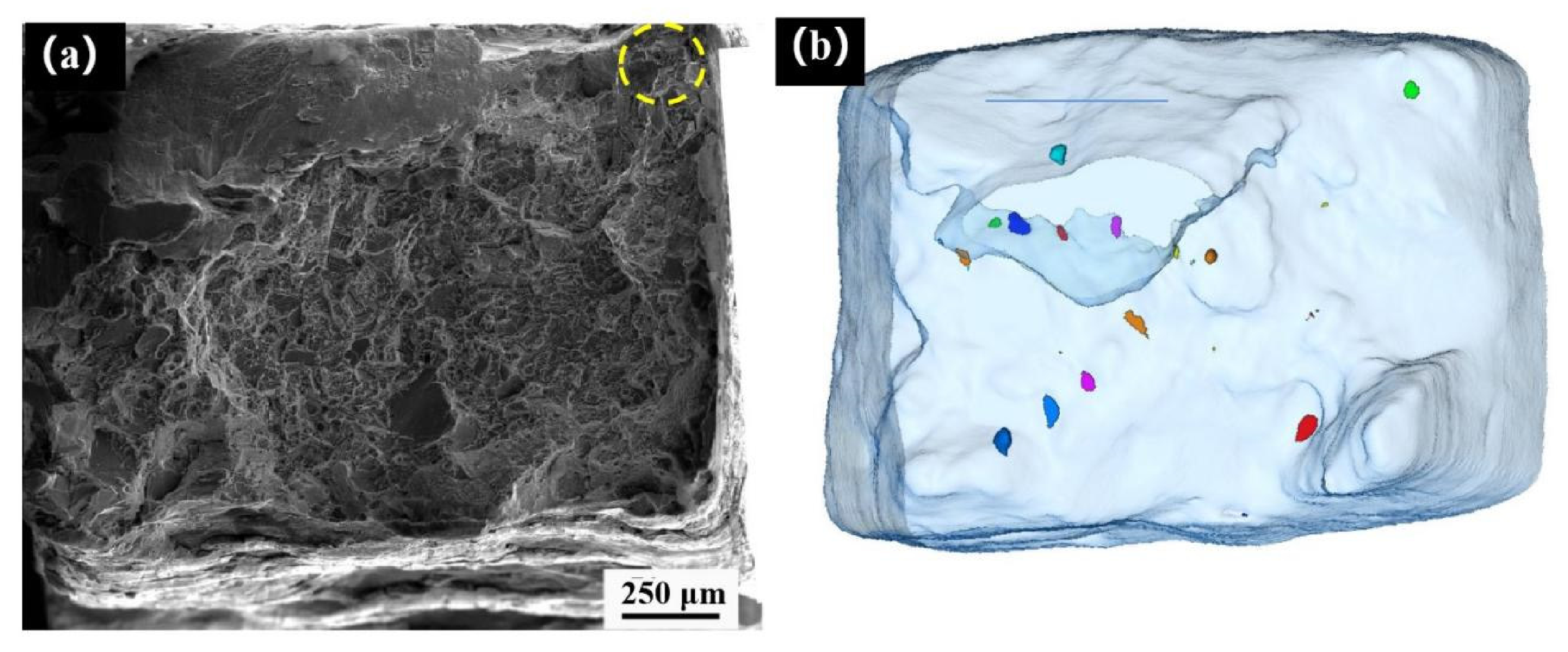 Materials 14 06298 g012a