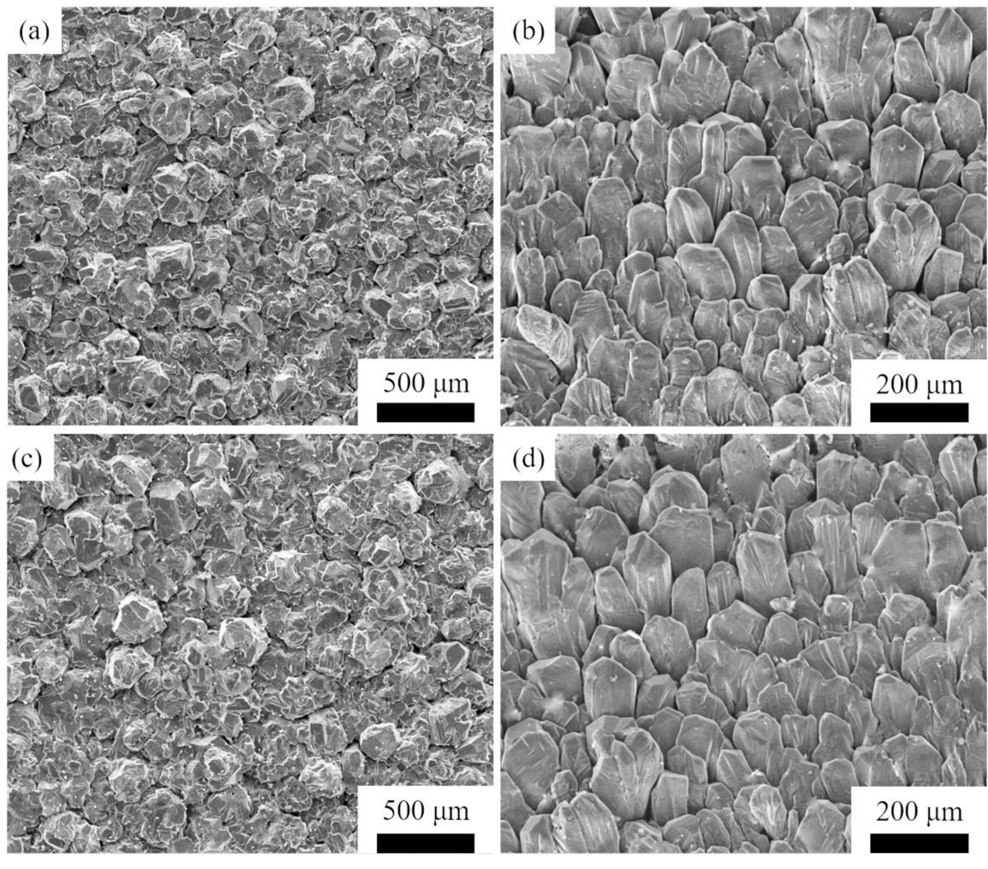 Materials 14 06317 g009 550