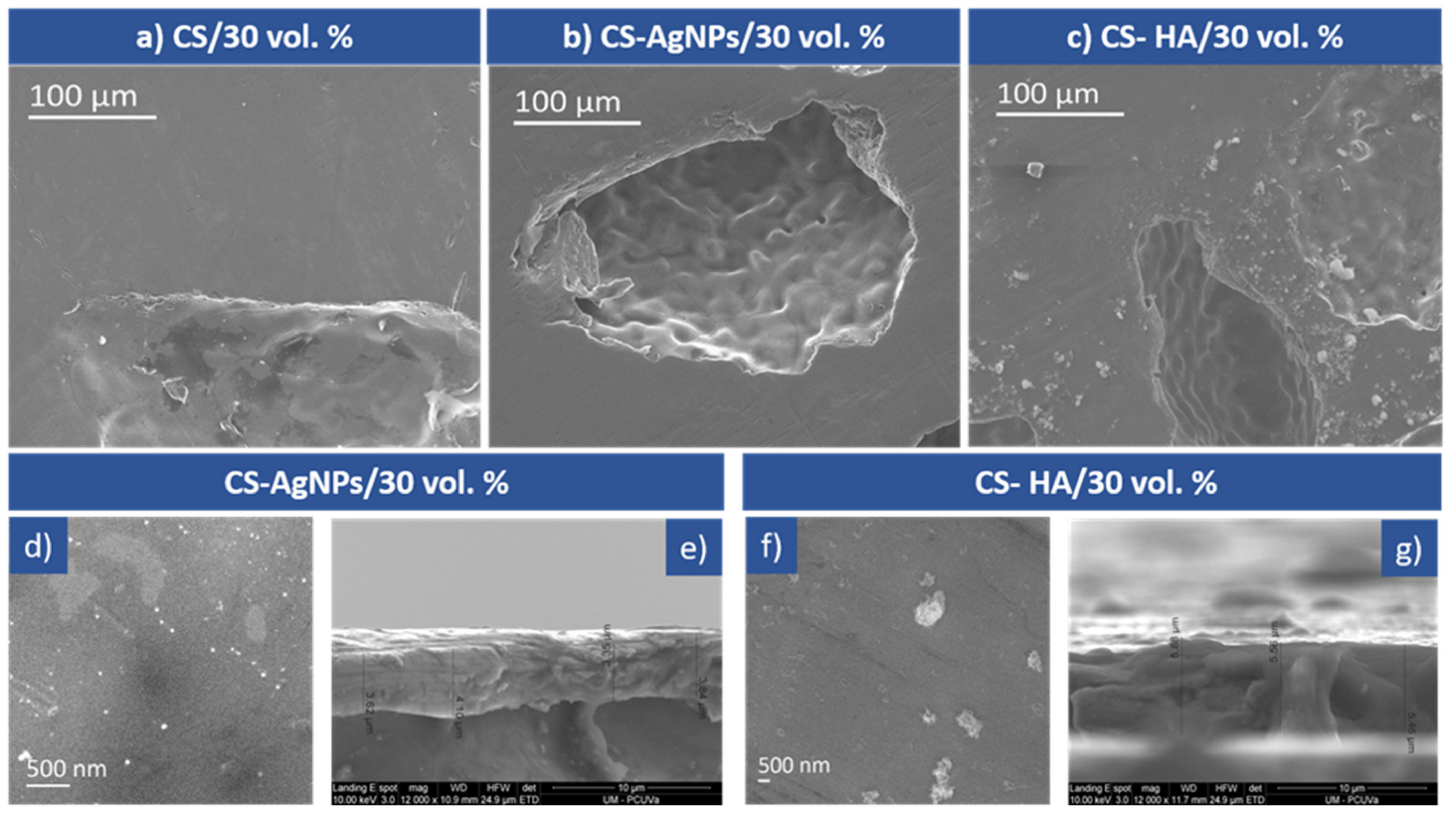 Materials 14 06322 g002 Materials 14 06322 g002