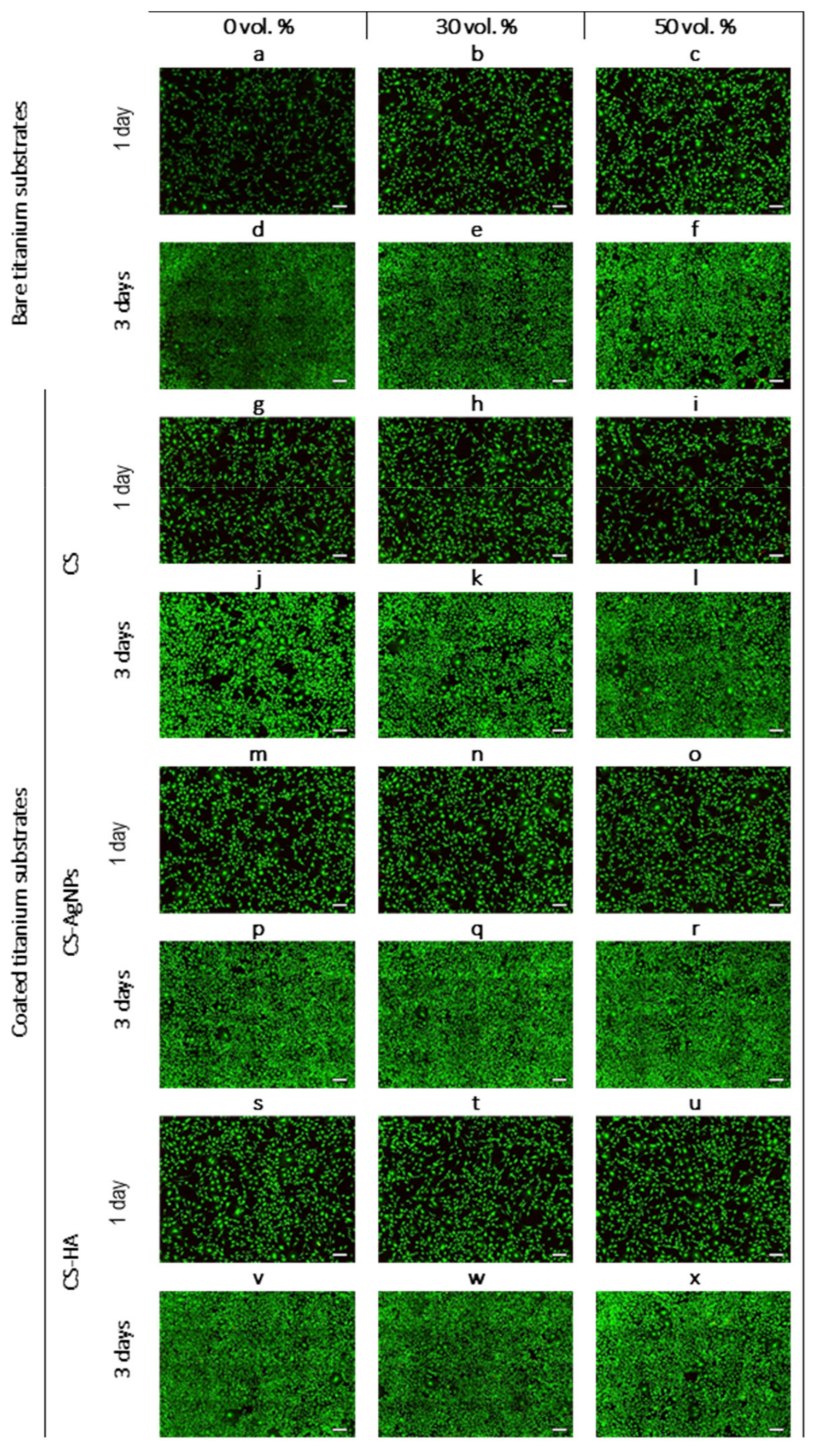 Materials 14 06322 g010 Materials 14 06322 g010