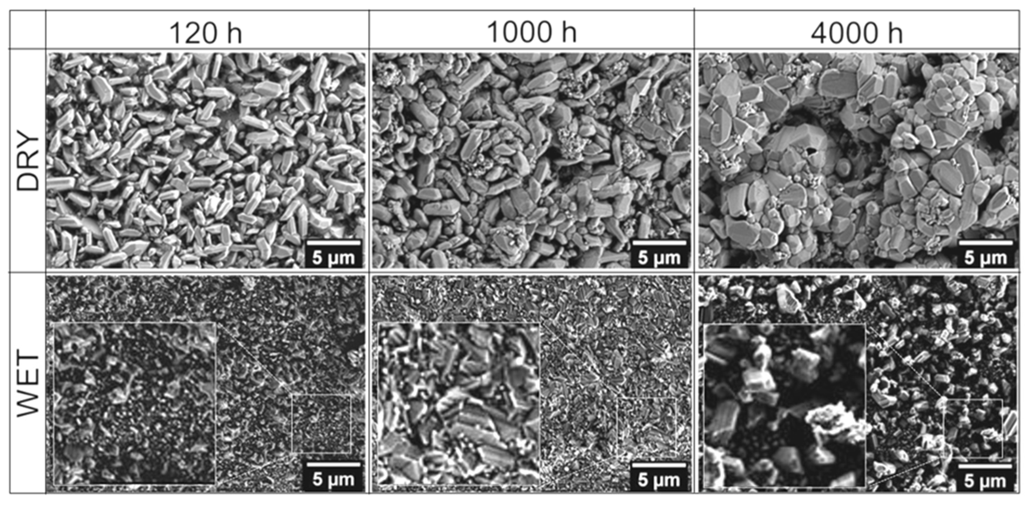 Materials 14 06327 g003 550