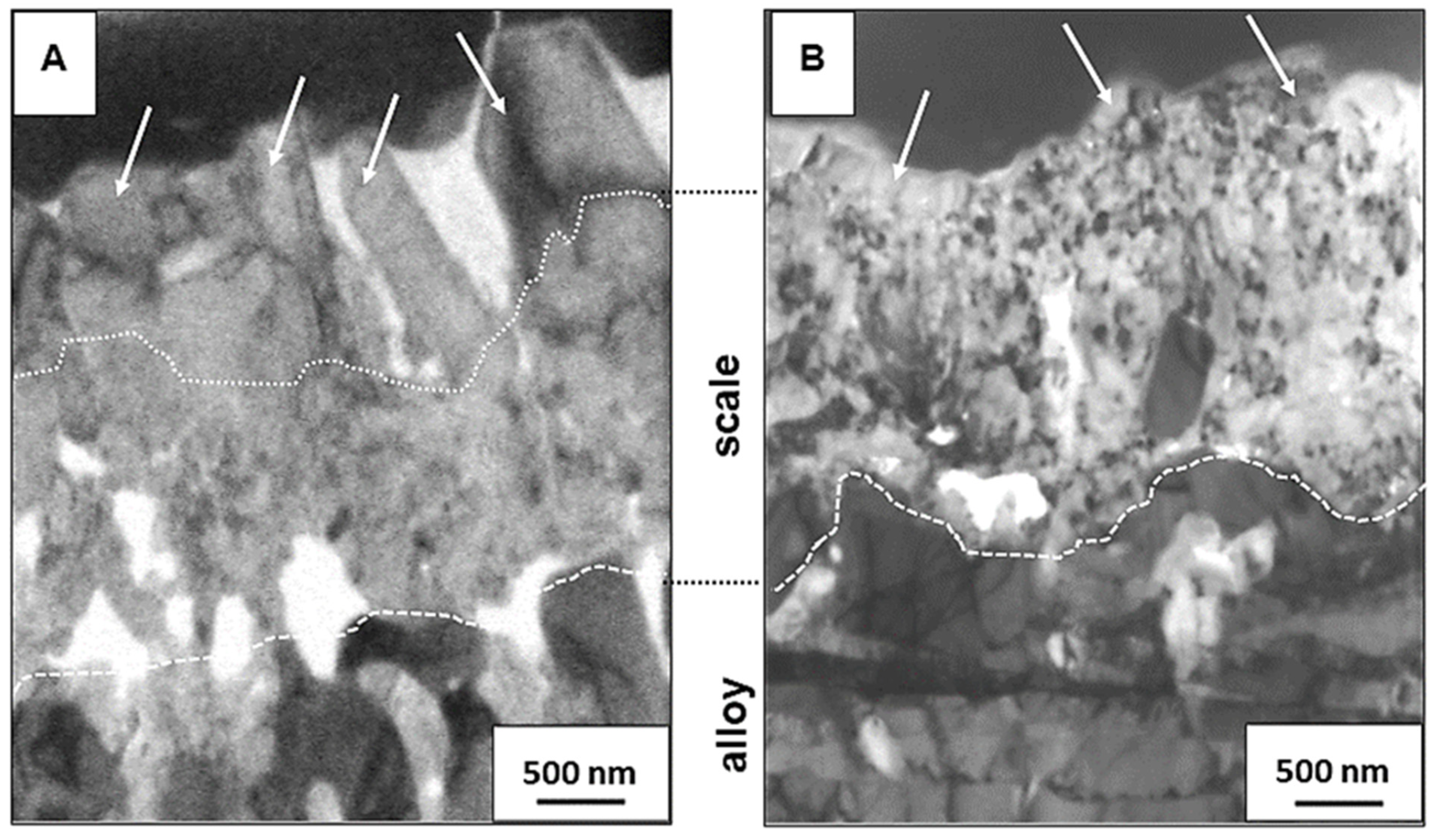Materials 14 06327 g005 550