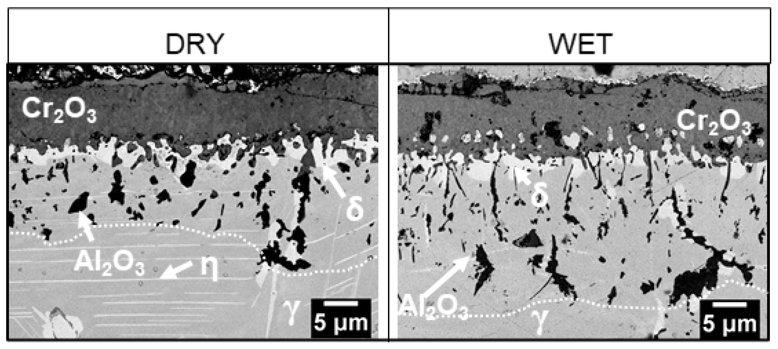 Materials 14 06327 g010 550
