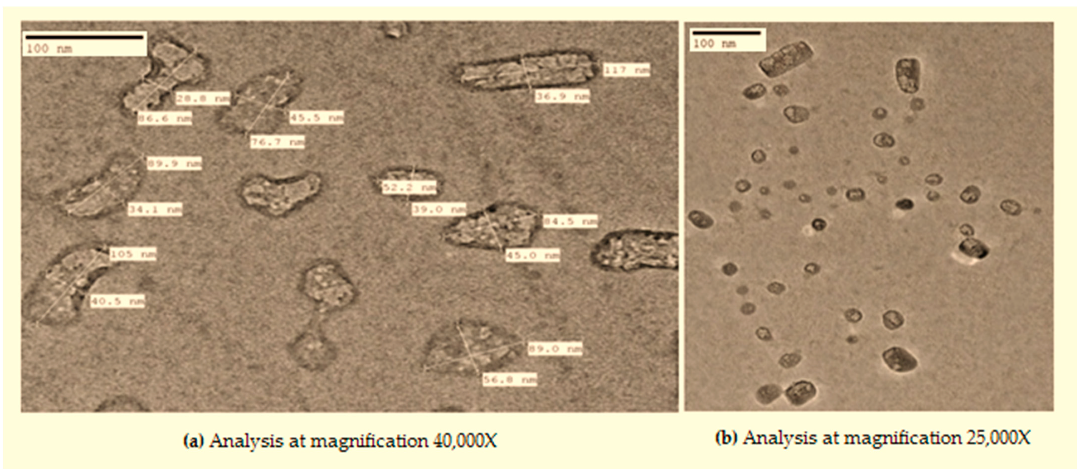 Materials 14 06336 g003 550