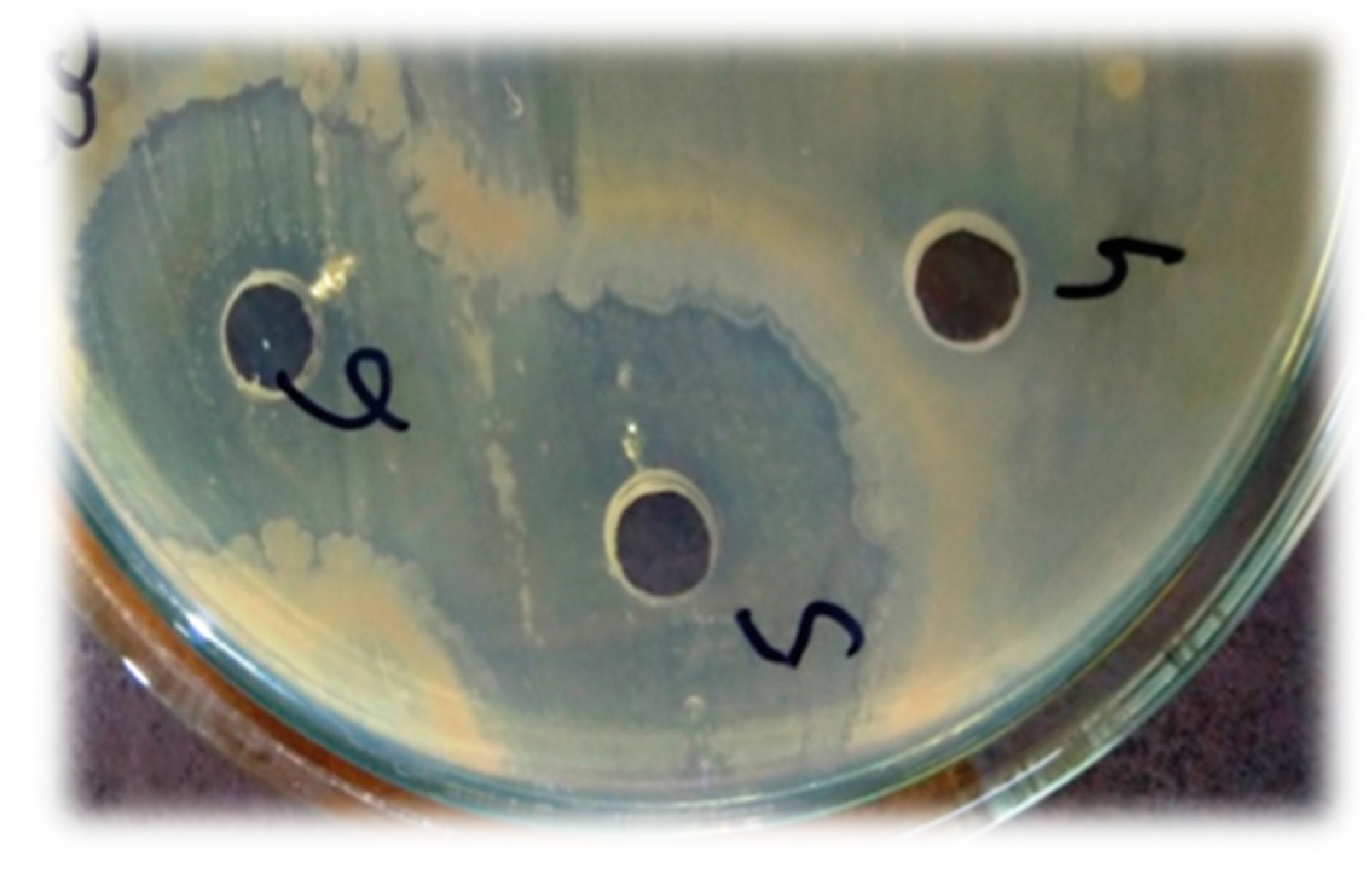 Materials 14 06336 g005 550