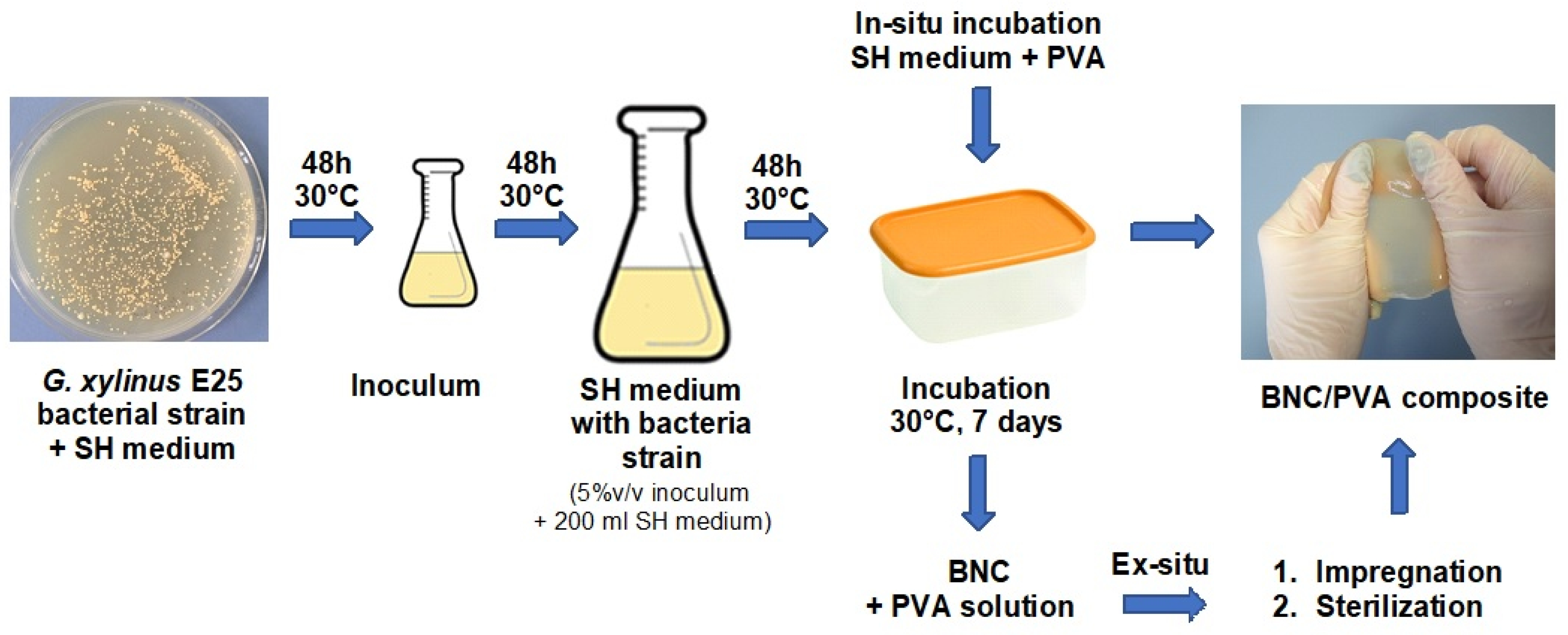 Materials 14 06340 g001 550