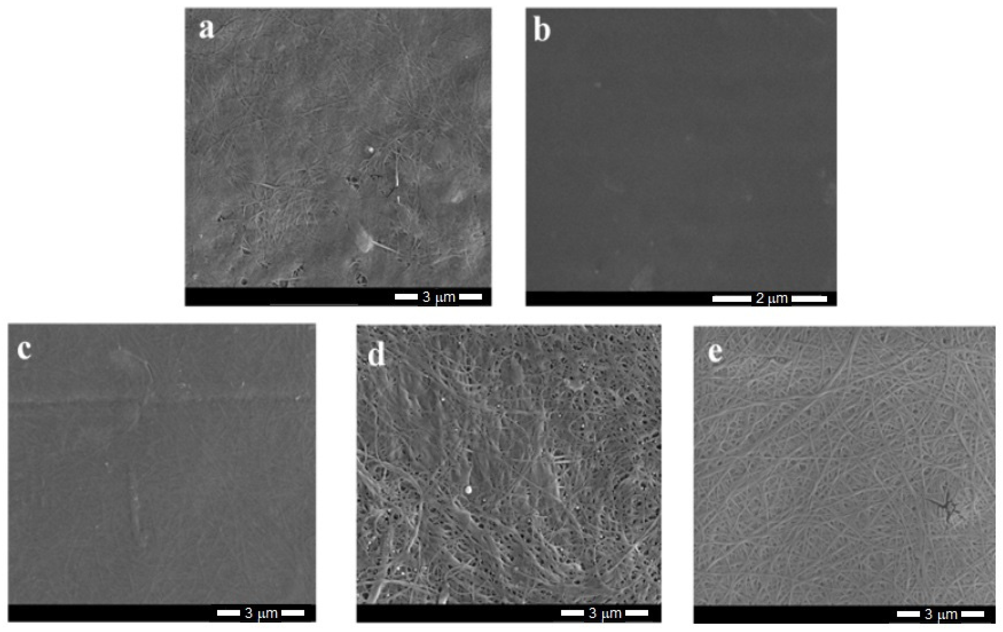 Materials 14 06340 g005 550