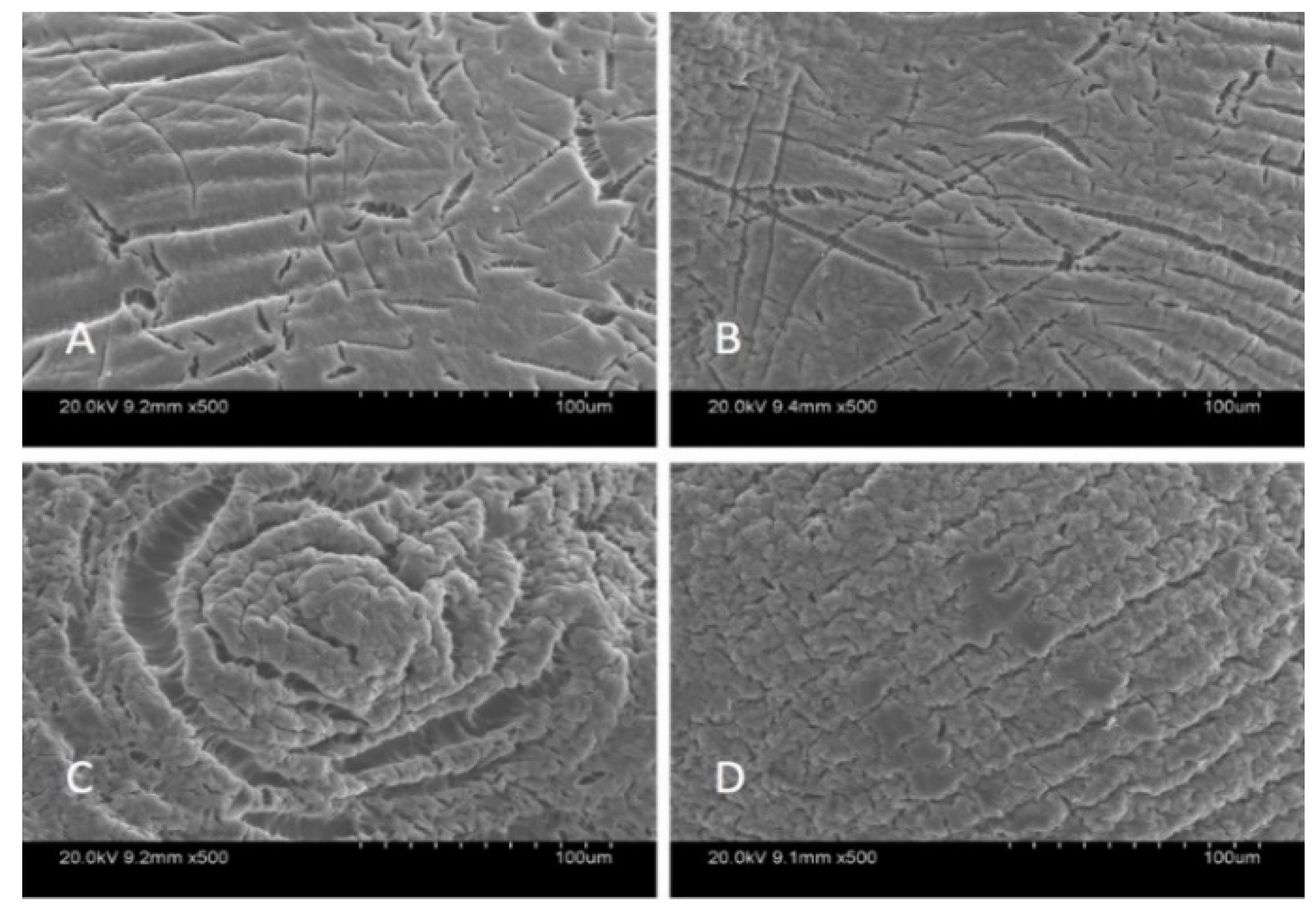 Materials 14 06343 g001