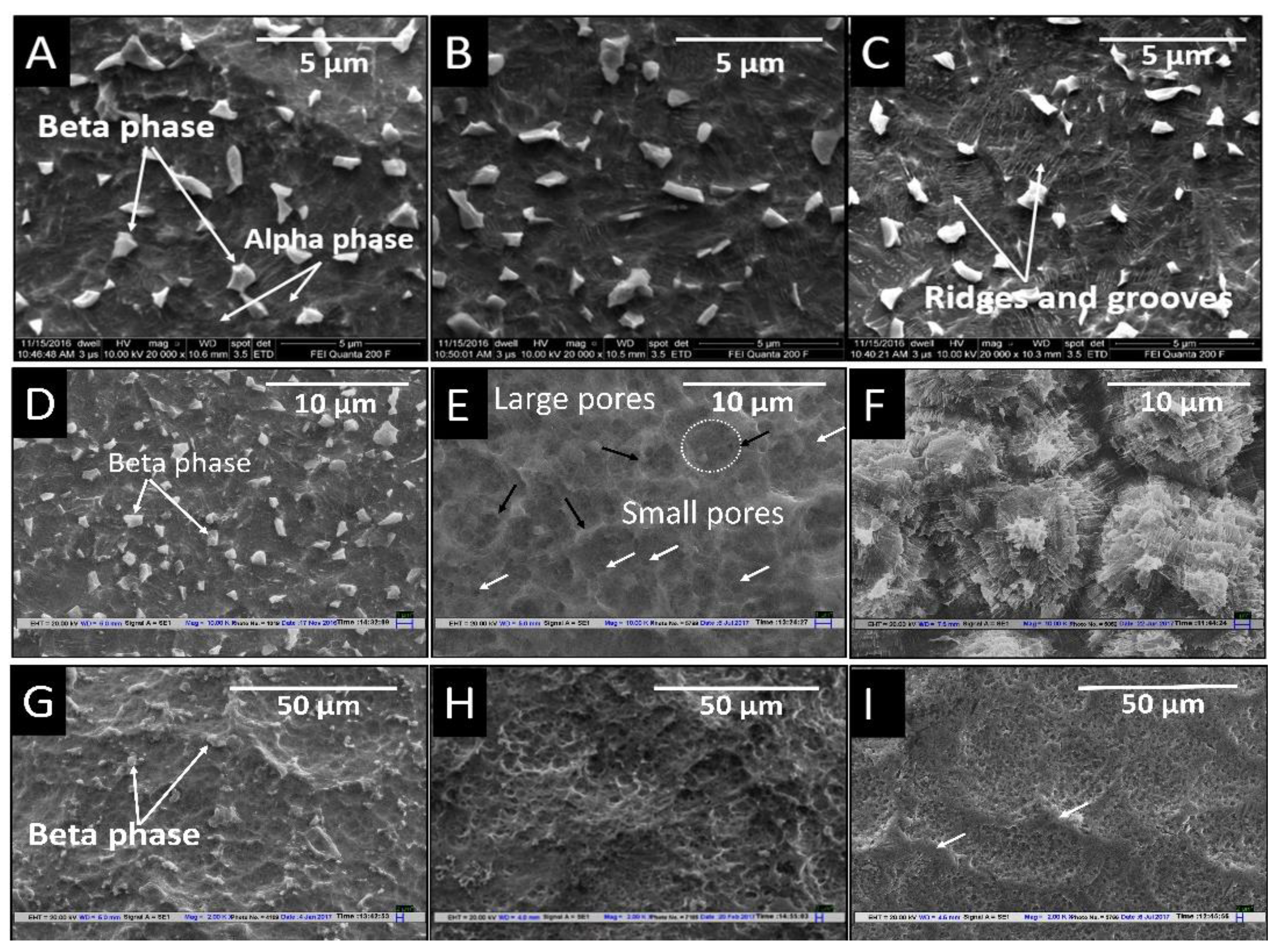 Materials 14 06344 g004