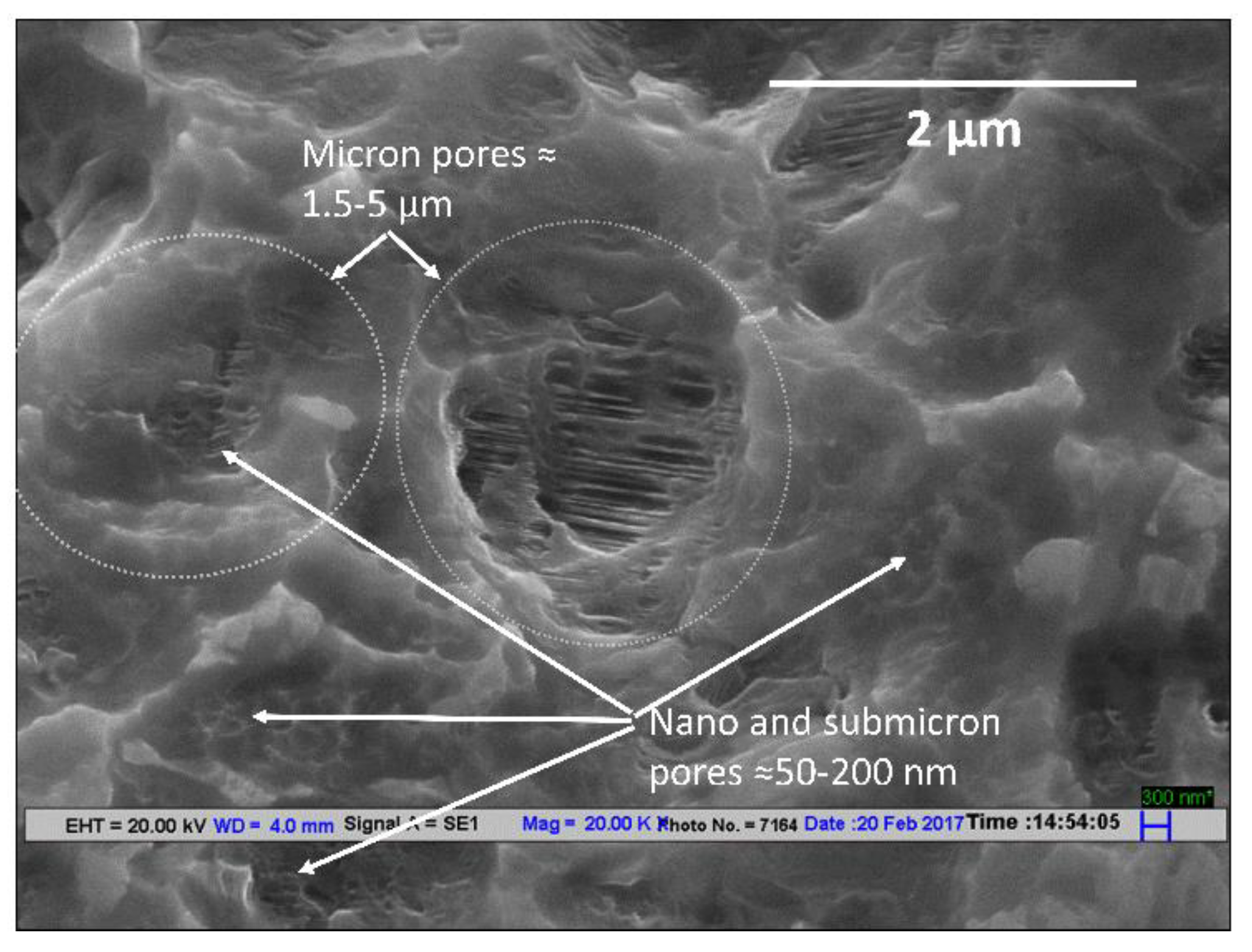 Materials 14 06344 g005