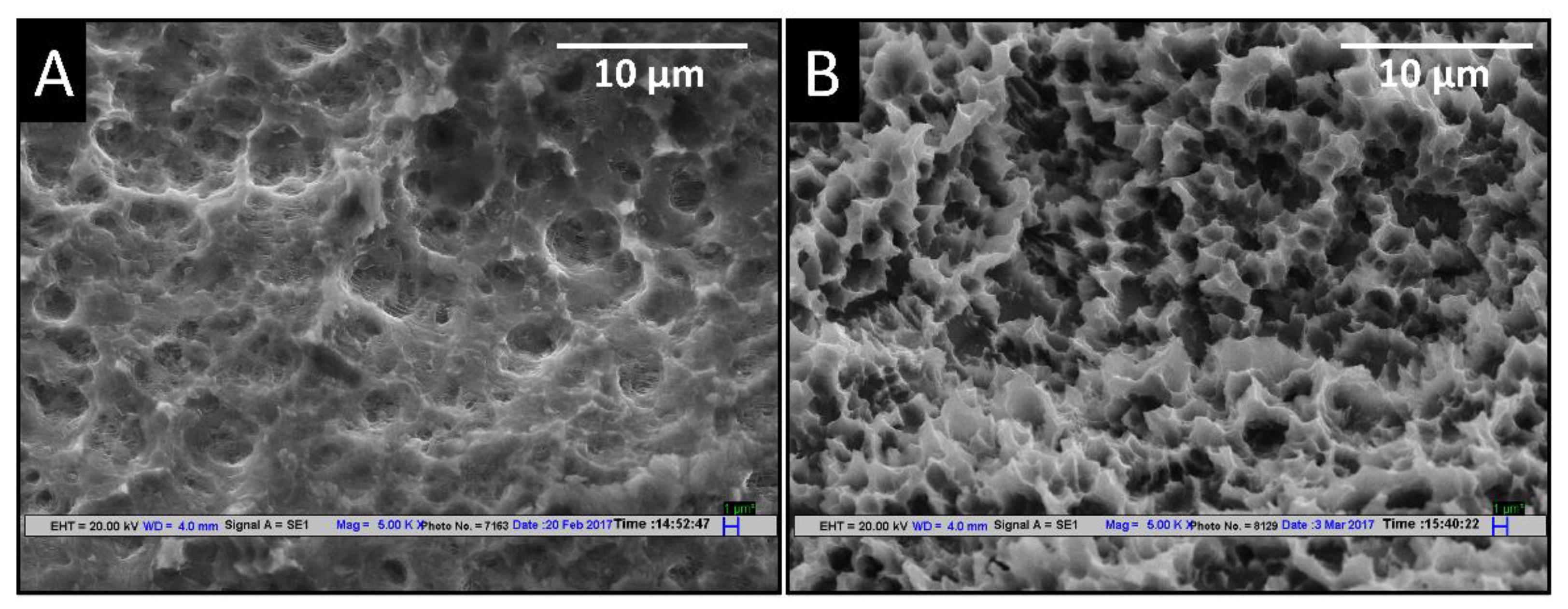 Materials 14 06344 g006