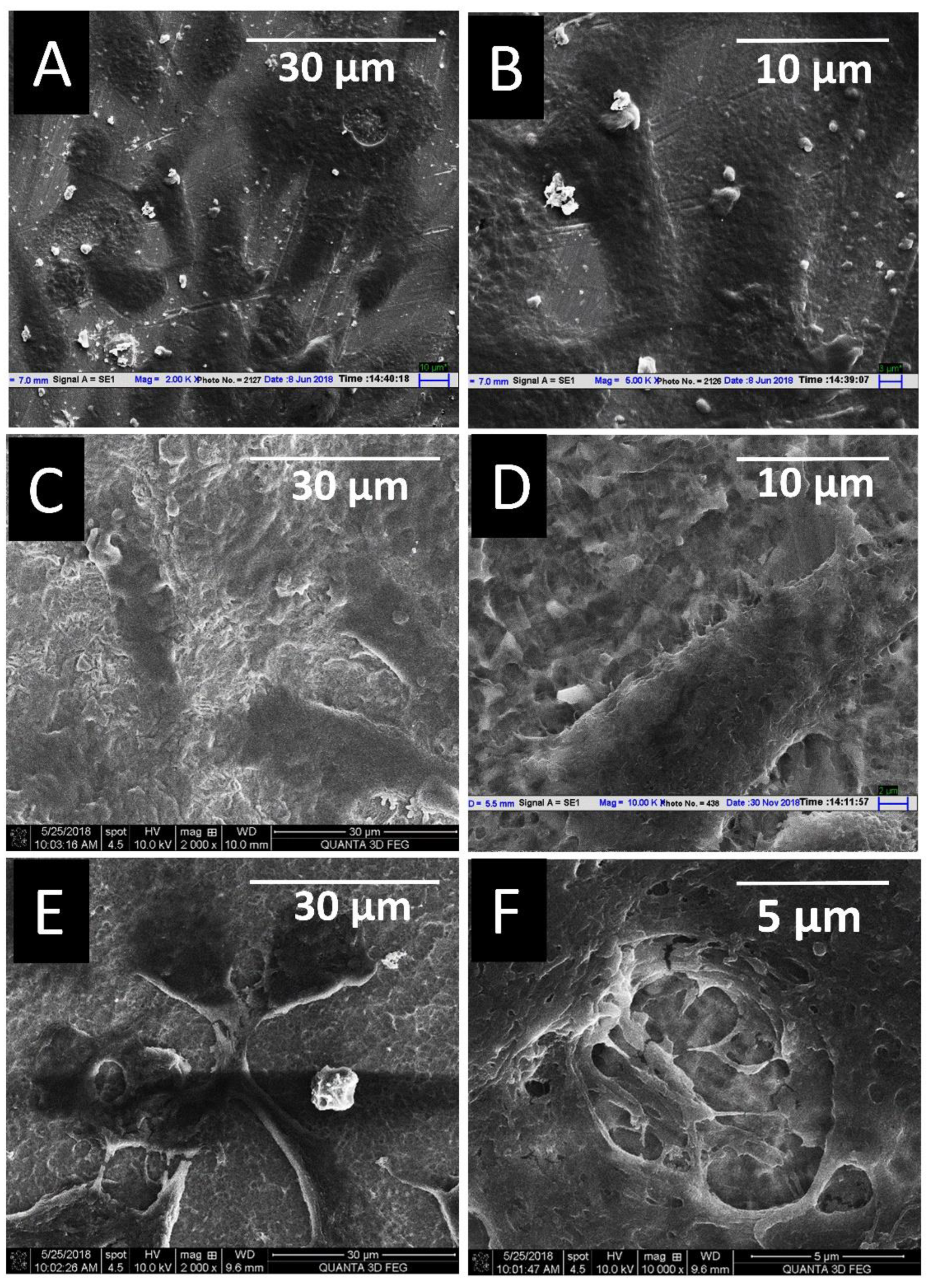 Materials 14 06344 g011