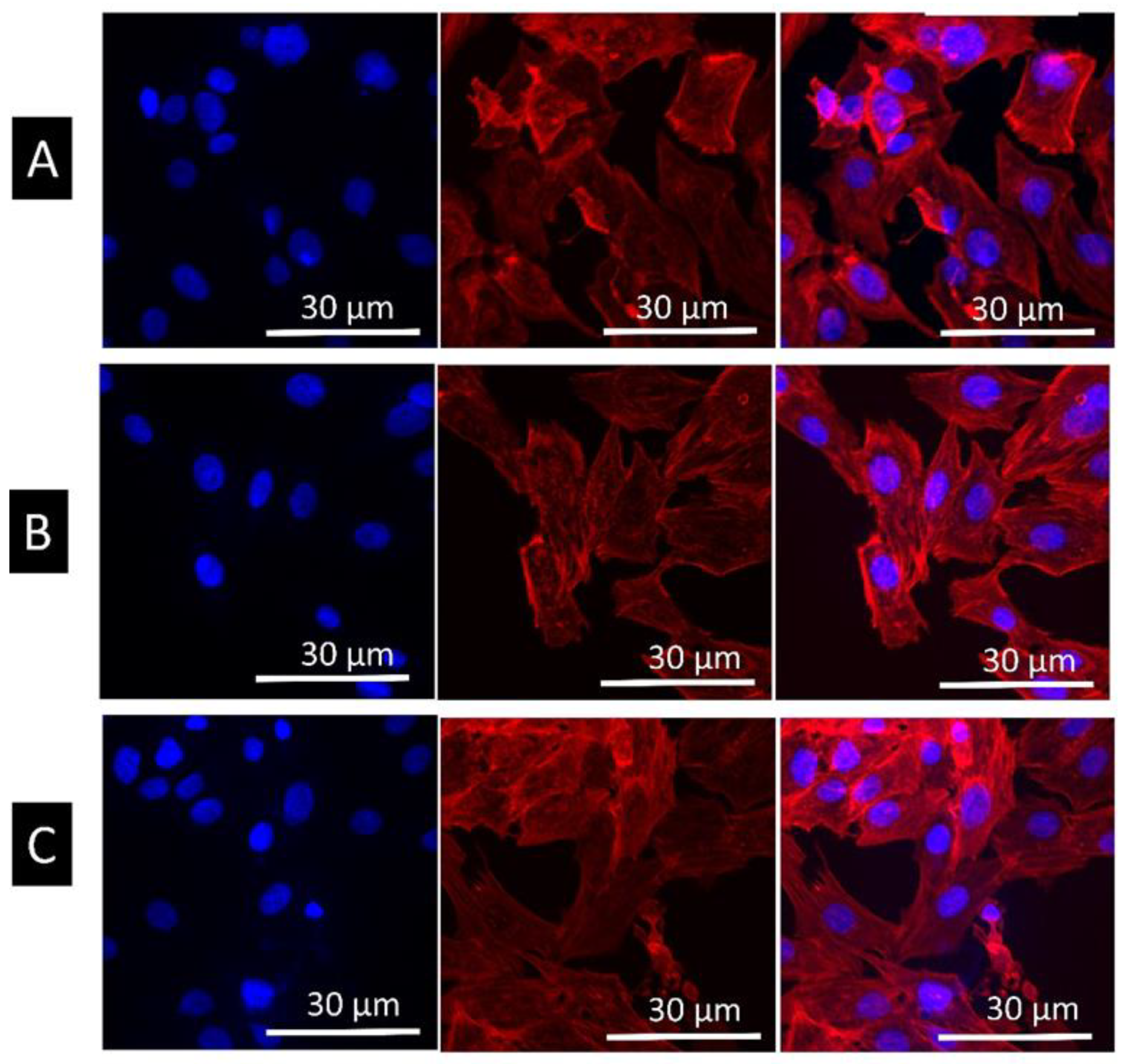 Materials 14 06344 g014