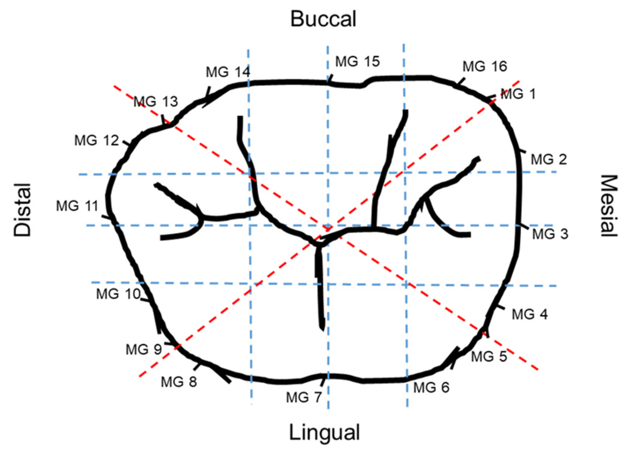 Materials 14 06346 g003