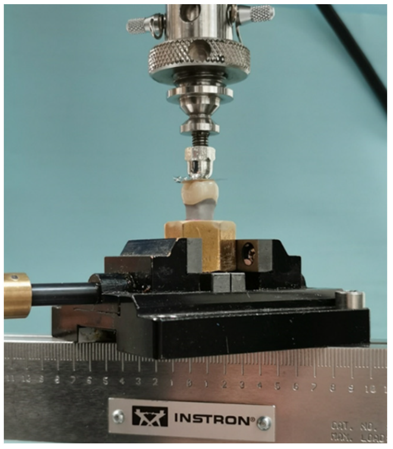 Materials 14 06346 g006