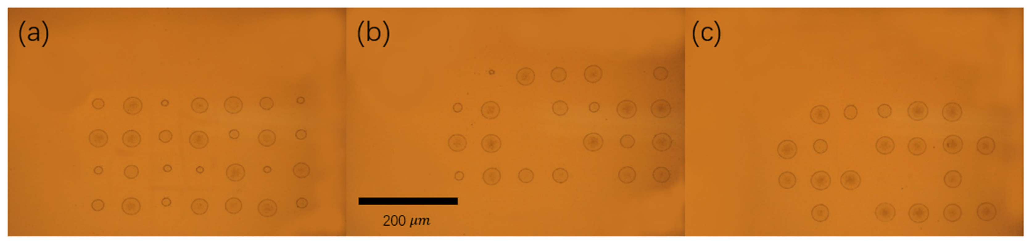 Materials 14 06355 g005