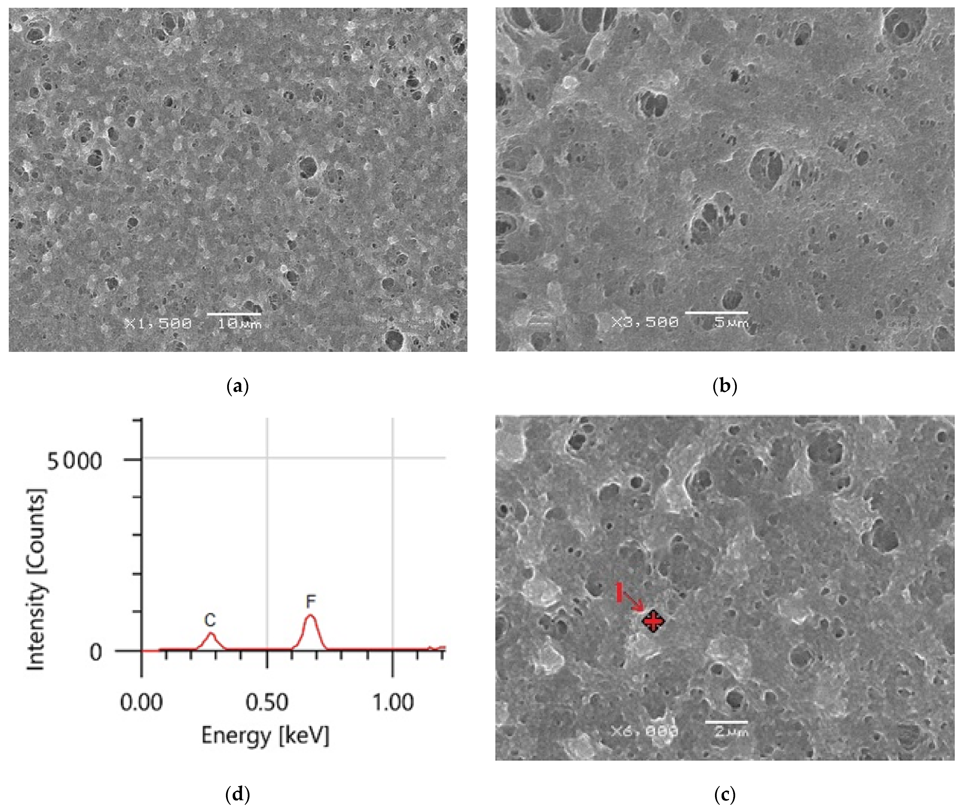 Materials 14 06358 g007