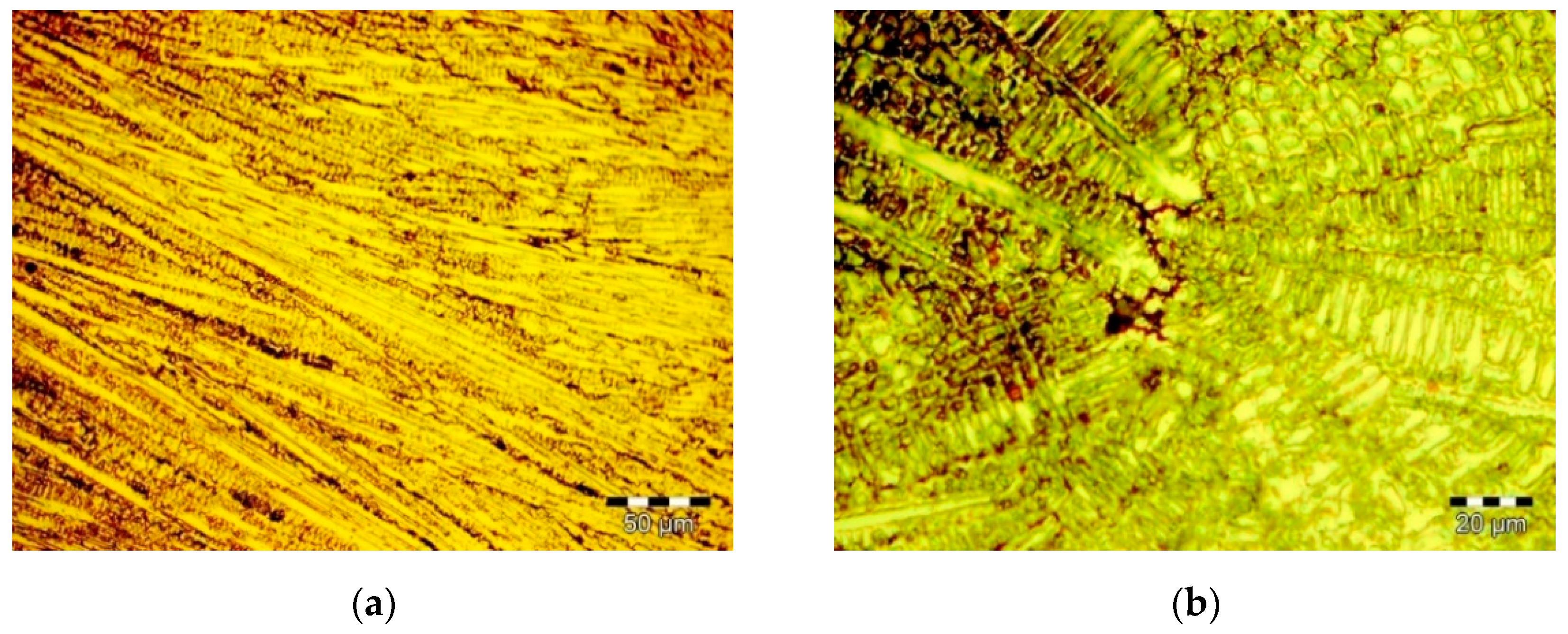 Materials 14 06361 g001 550