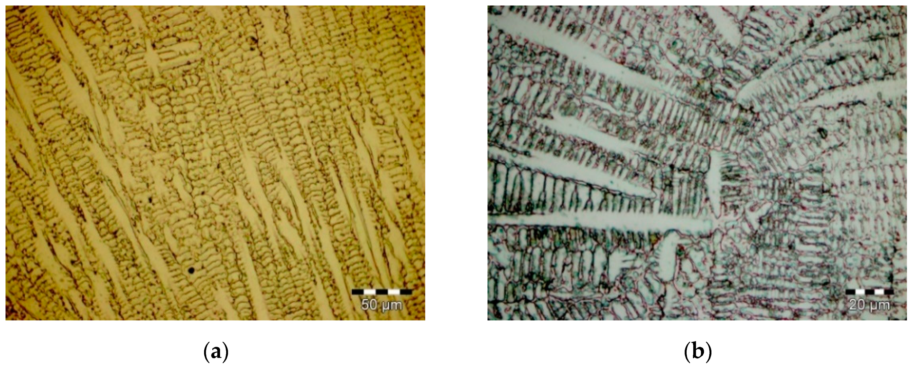 Materials 14 06361 g002 550