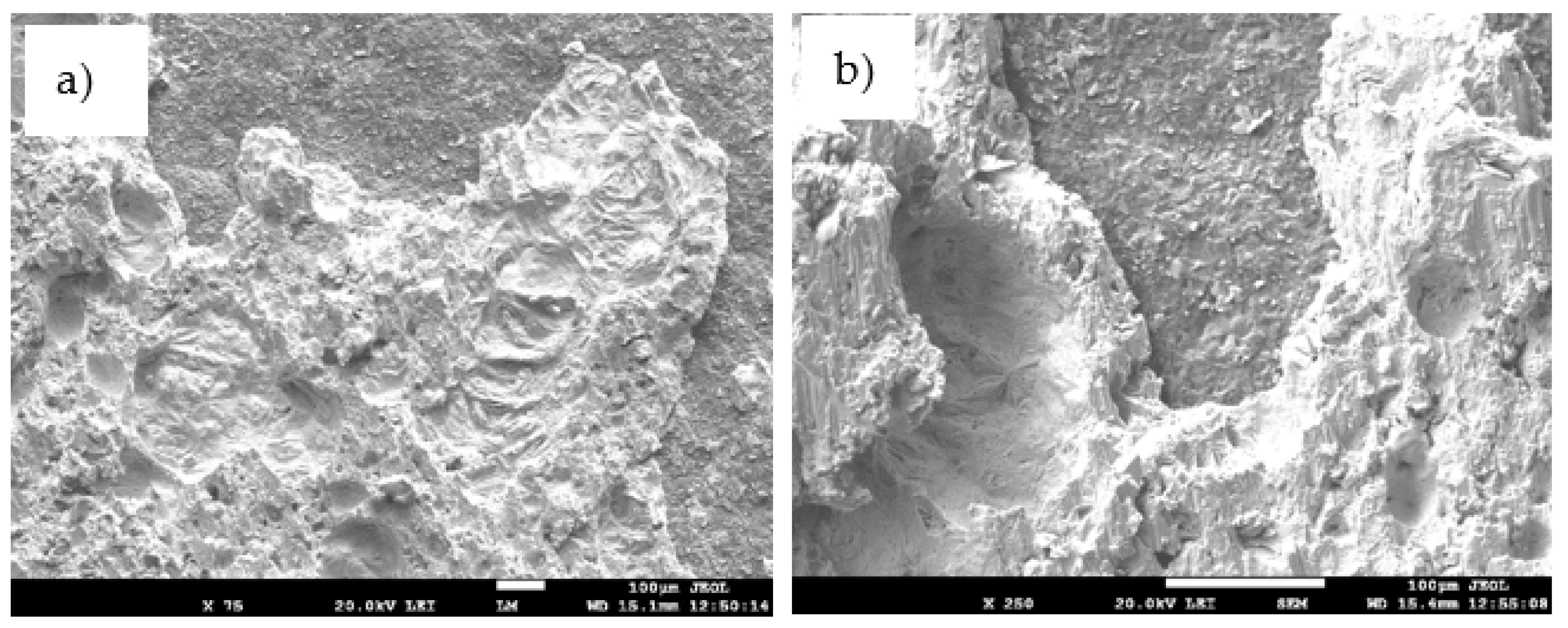 Materials 14 06369 g025 550