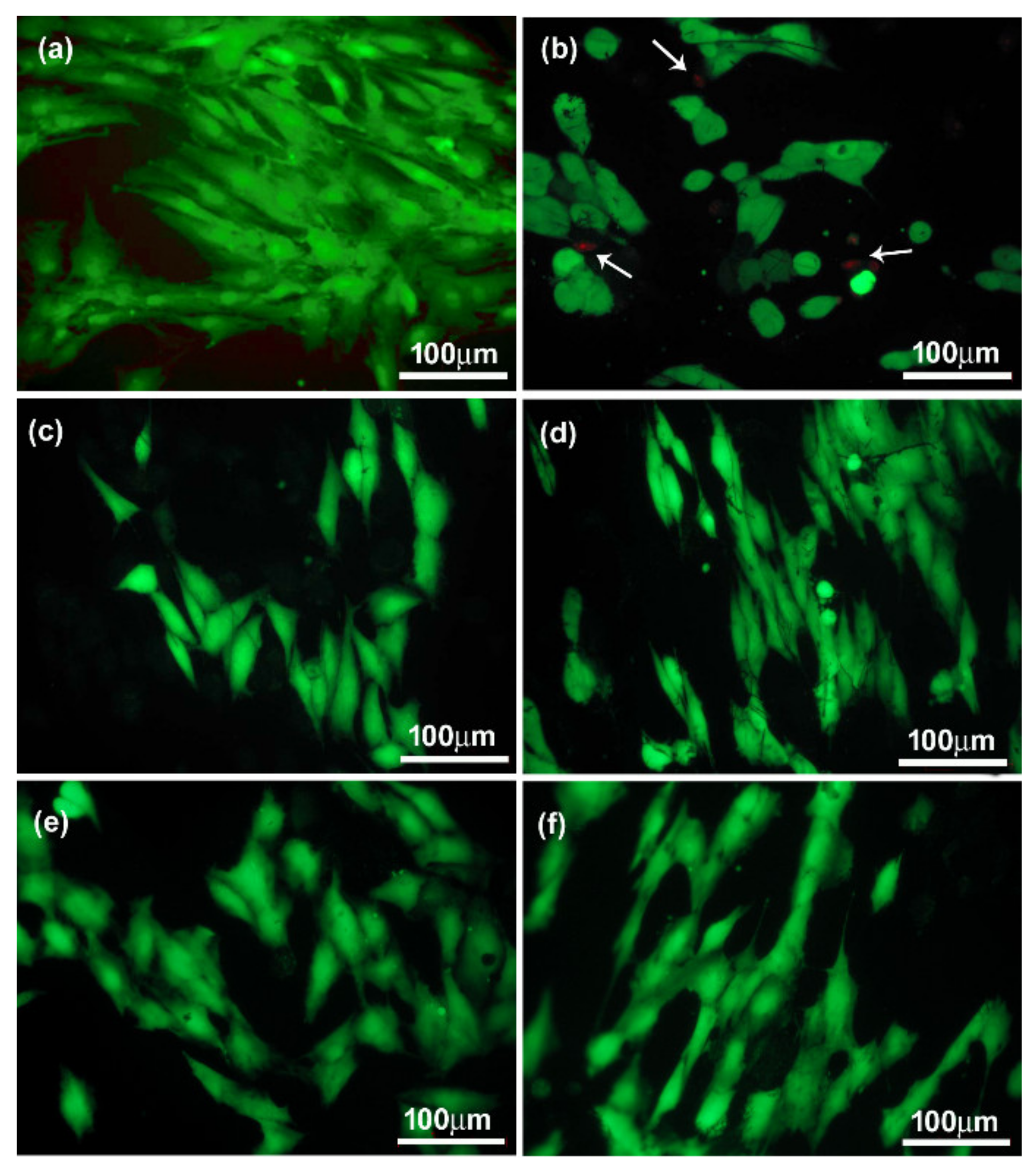 Materials 14 06370 g010 550