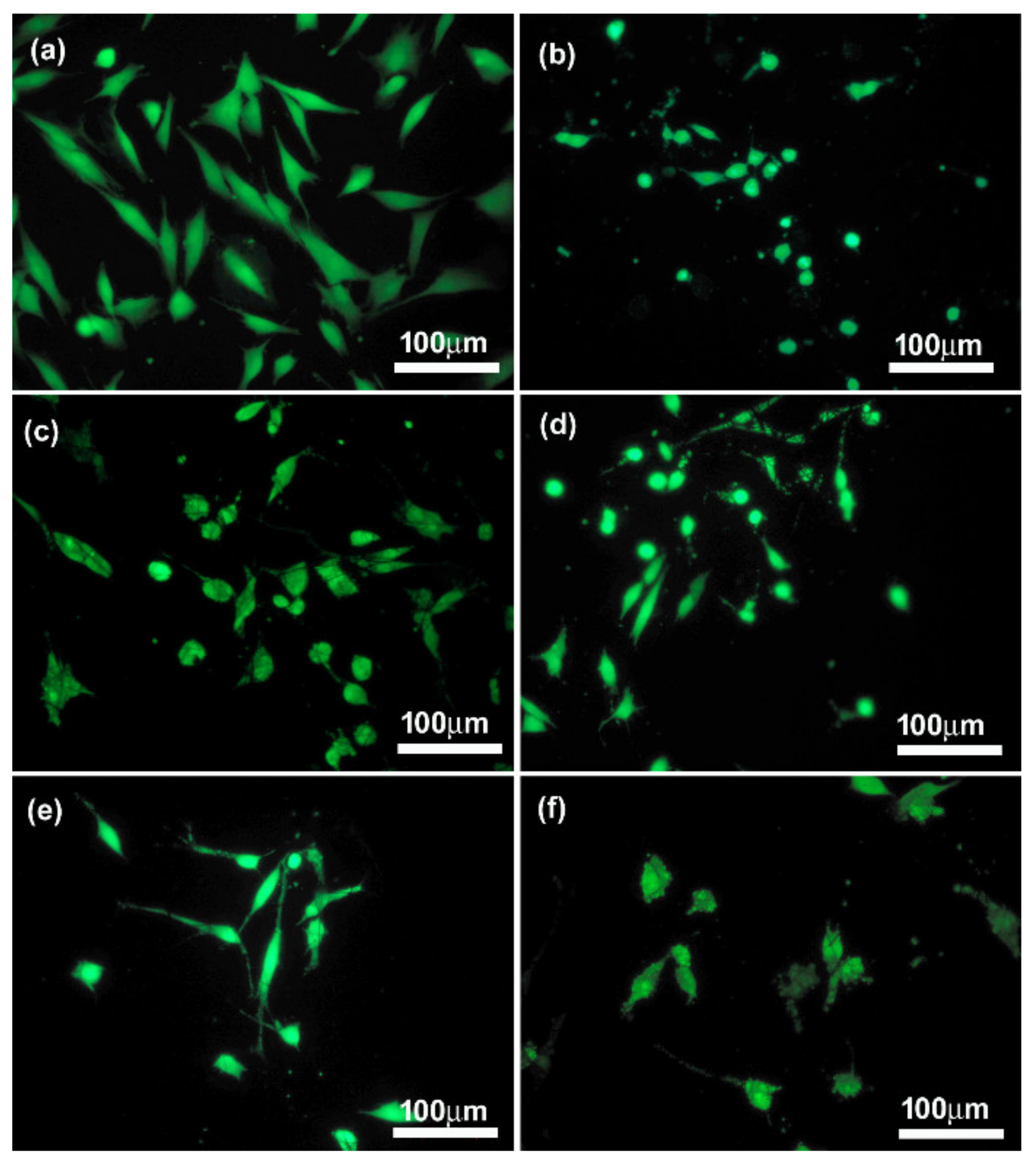 Materials 14 06370 g011 550