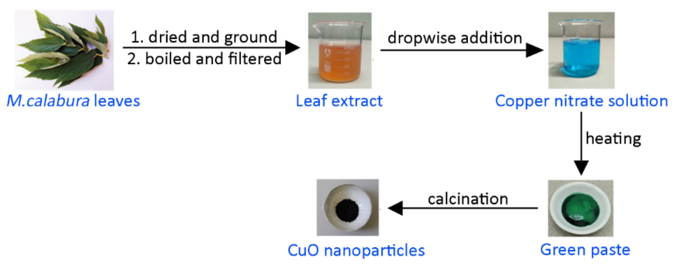 Materials 14 06379 g001 550