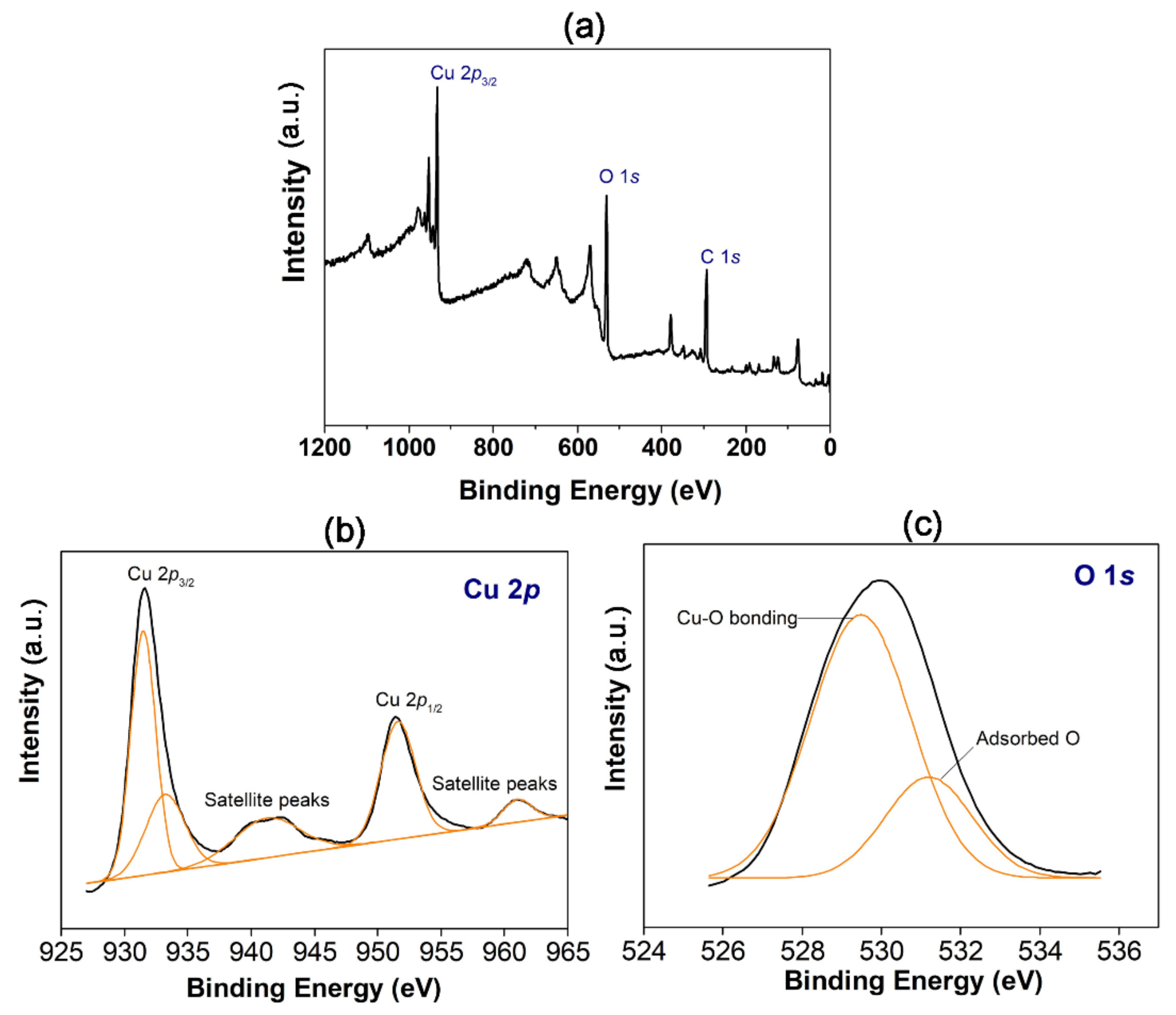 Materials 14 06379 g004 550