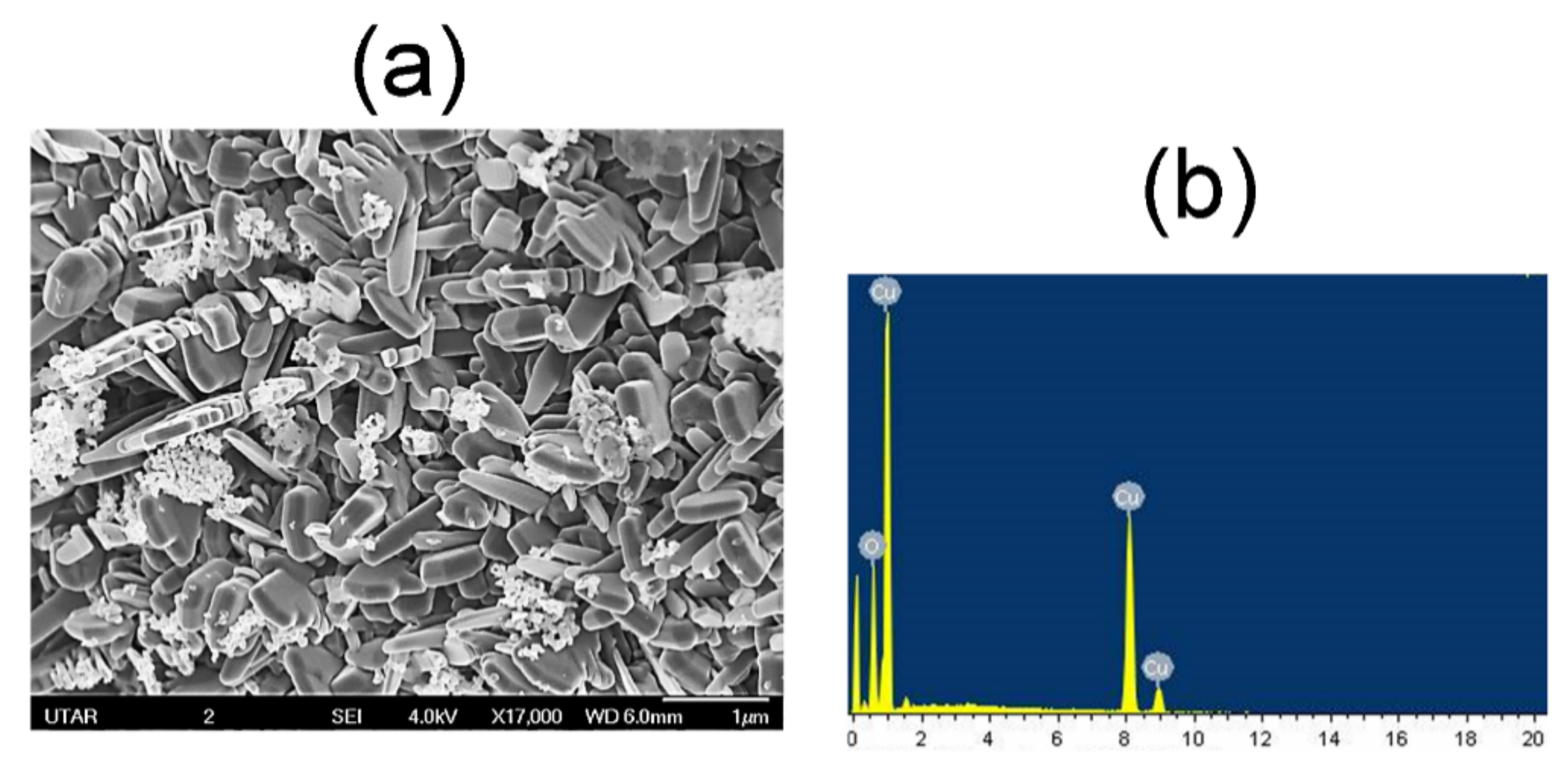 Materials 14 06379 g006 550