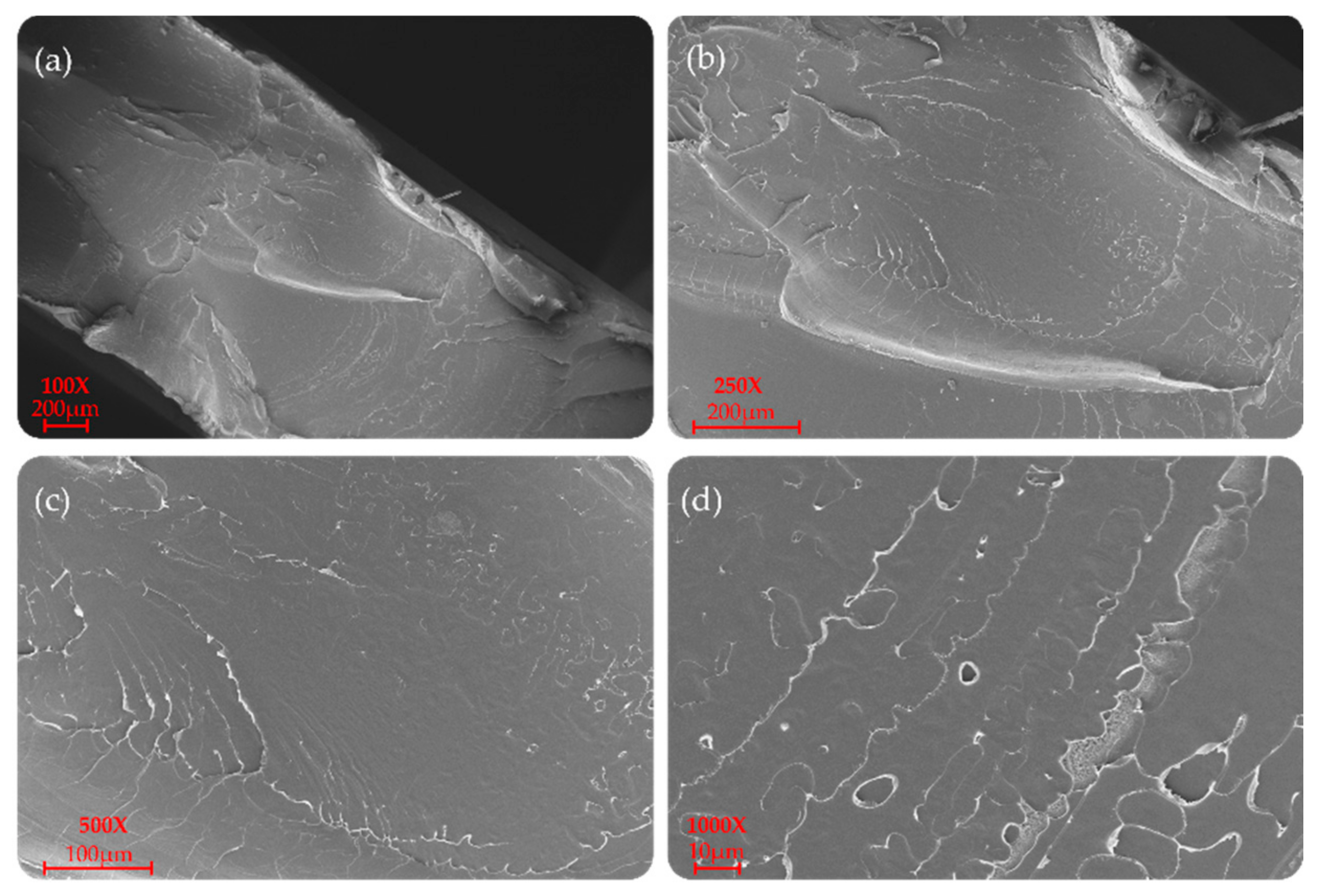 Materials 14 06381 g006