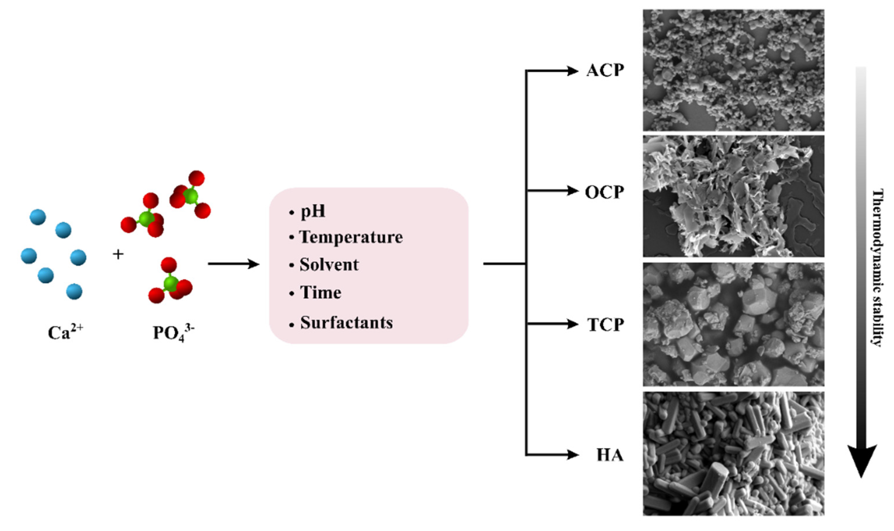 Materials 14 06398 g002 Materials 14 06398 g002