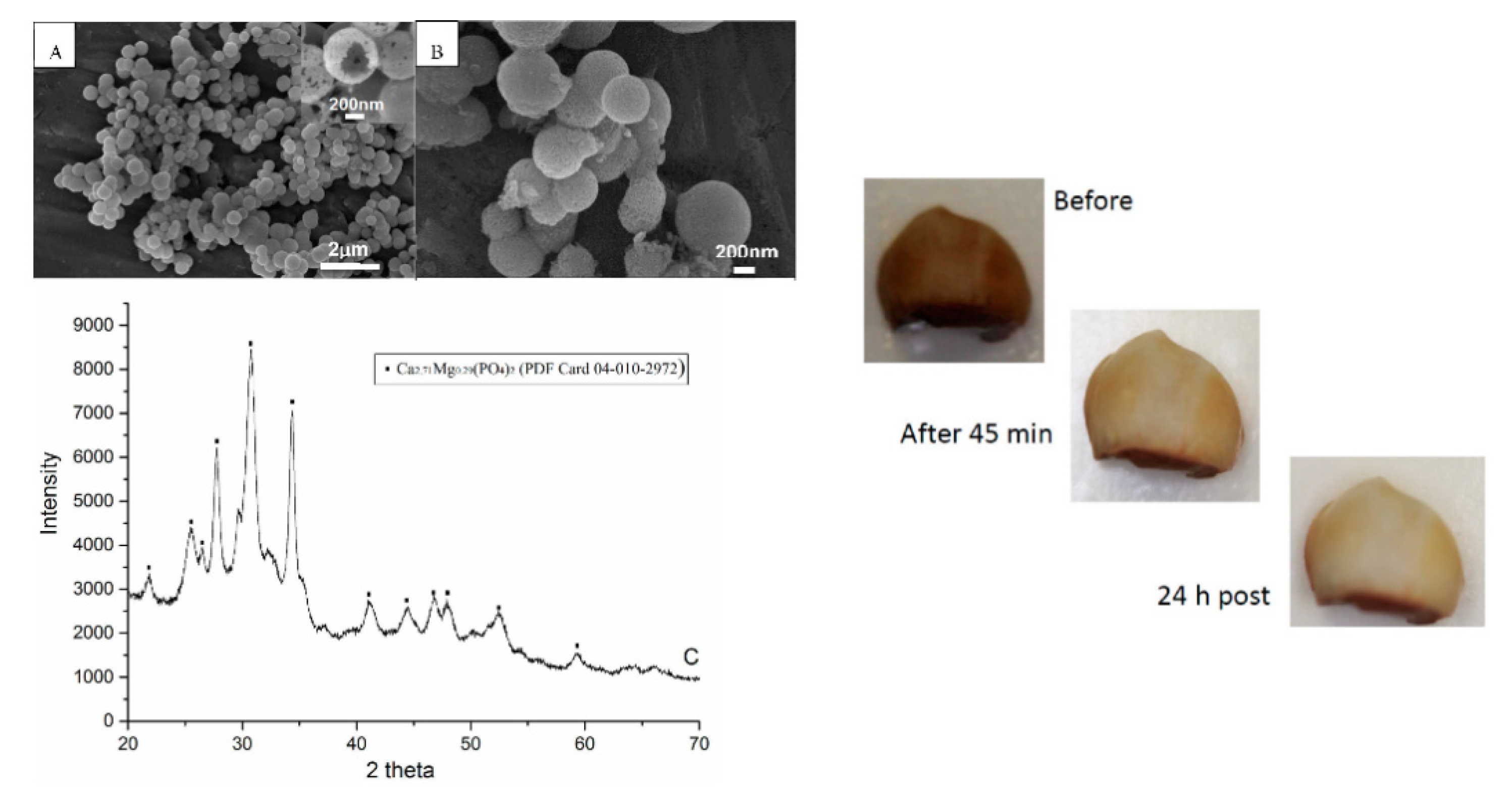 Materials 14 06398 g006 Materials 14 06398 g006