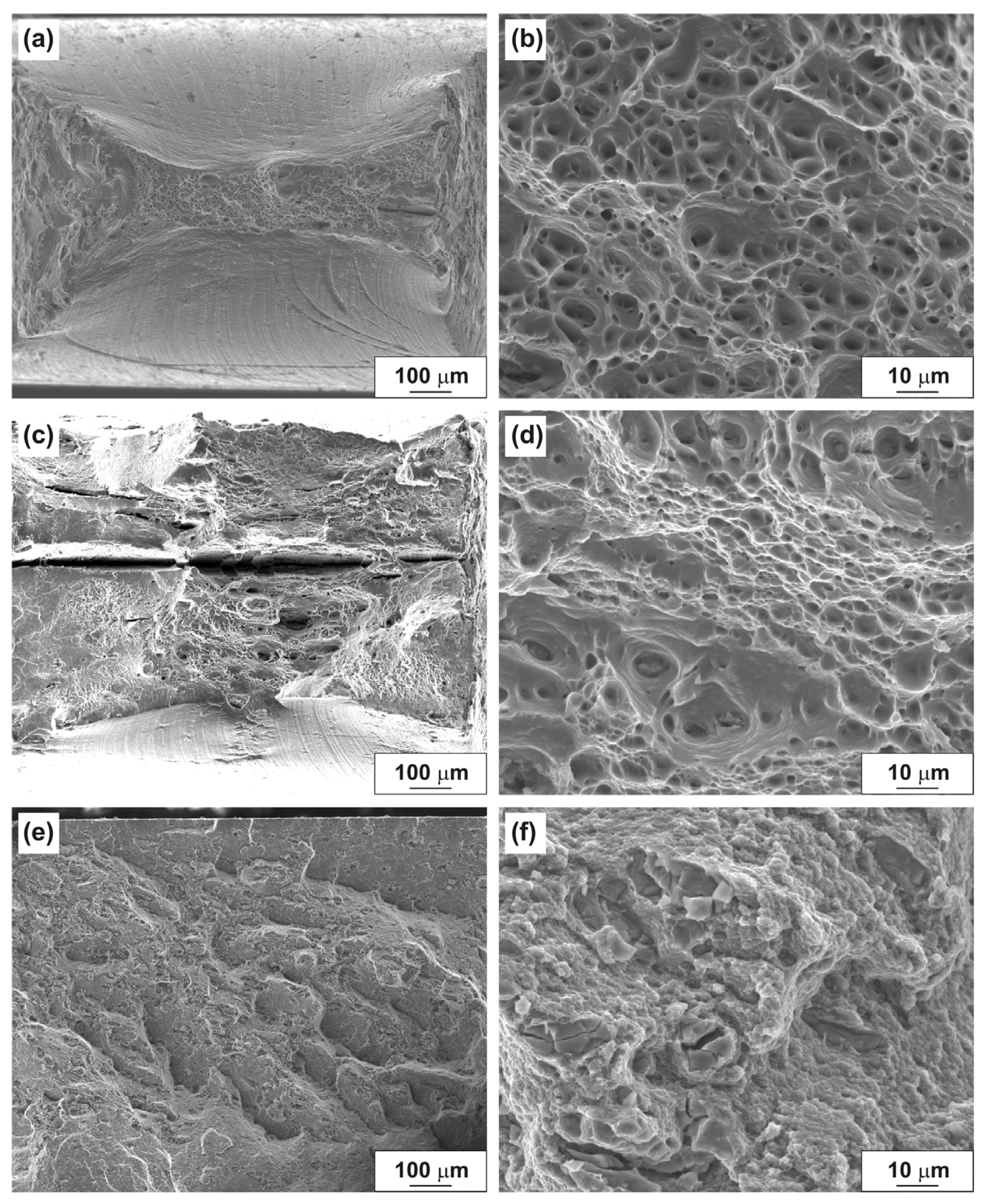 Materials 14 06404 g011 550