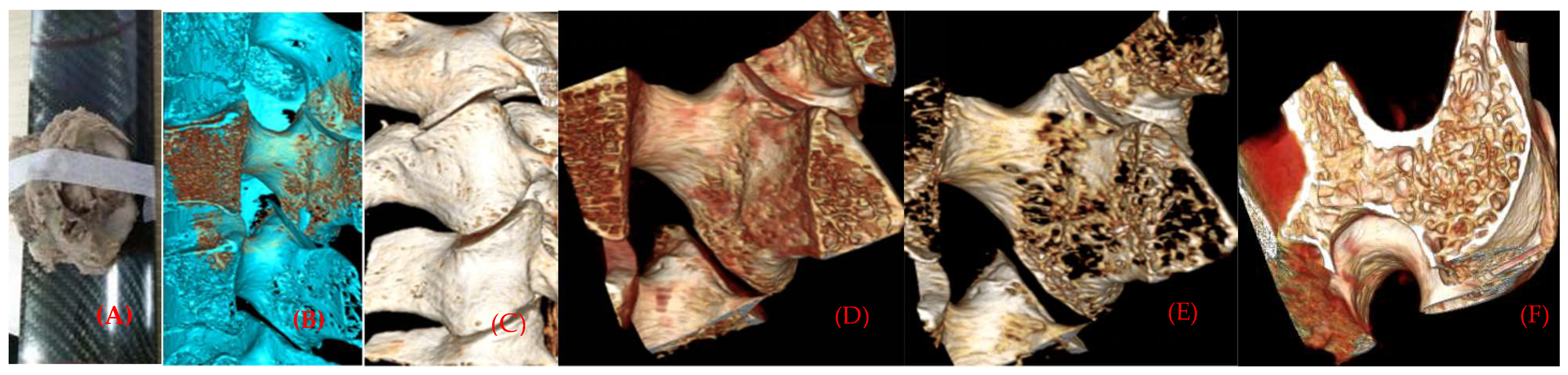 Materials 14 06409 g002 Materials 14 06409 g002