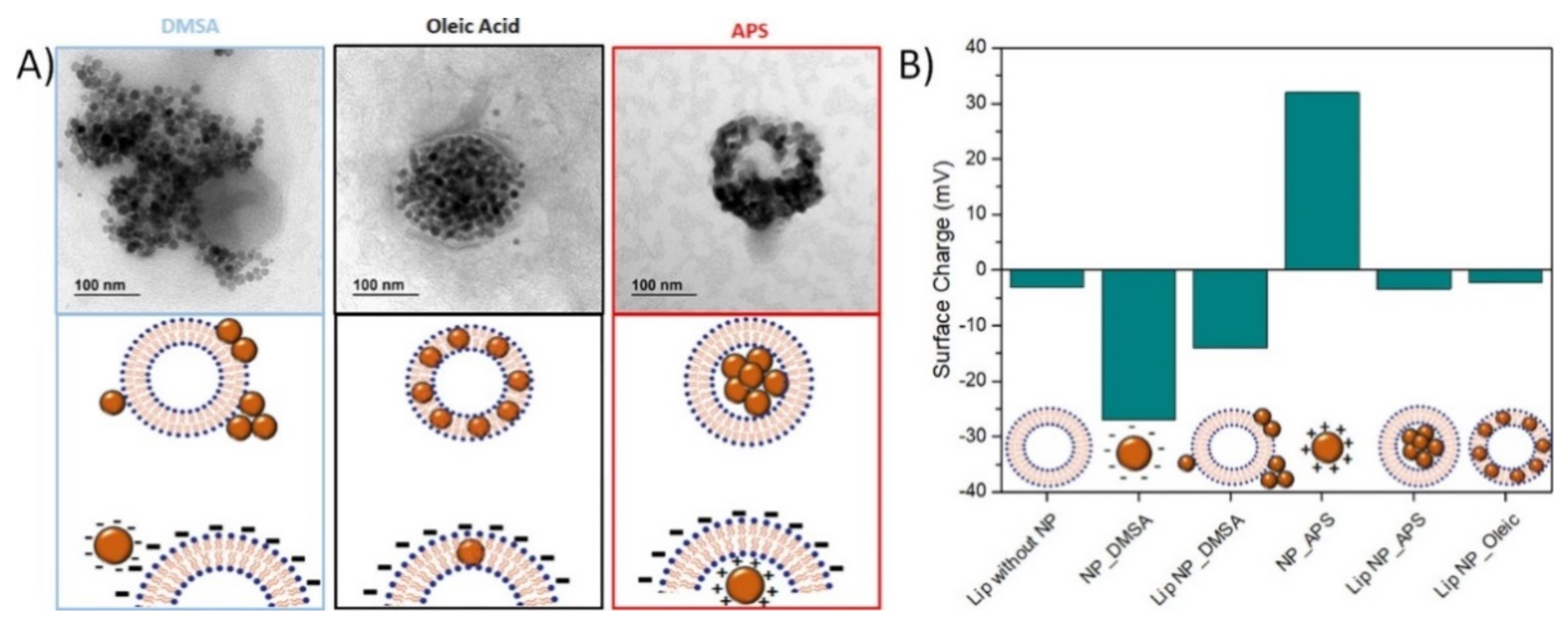 Materials 14 06416 g010 Materials 14 06416 g010