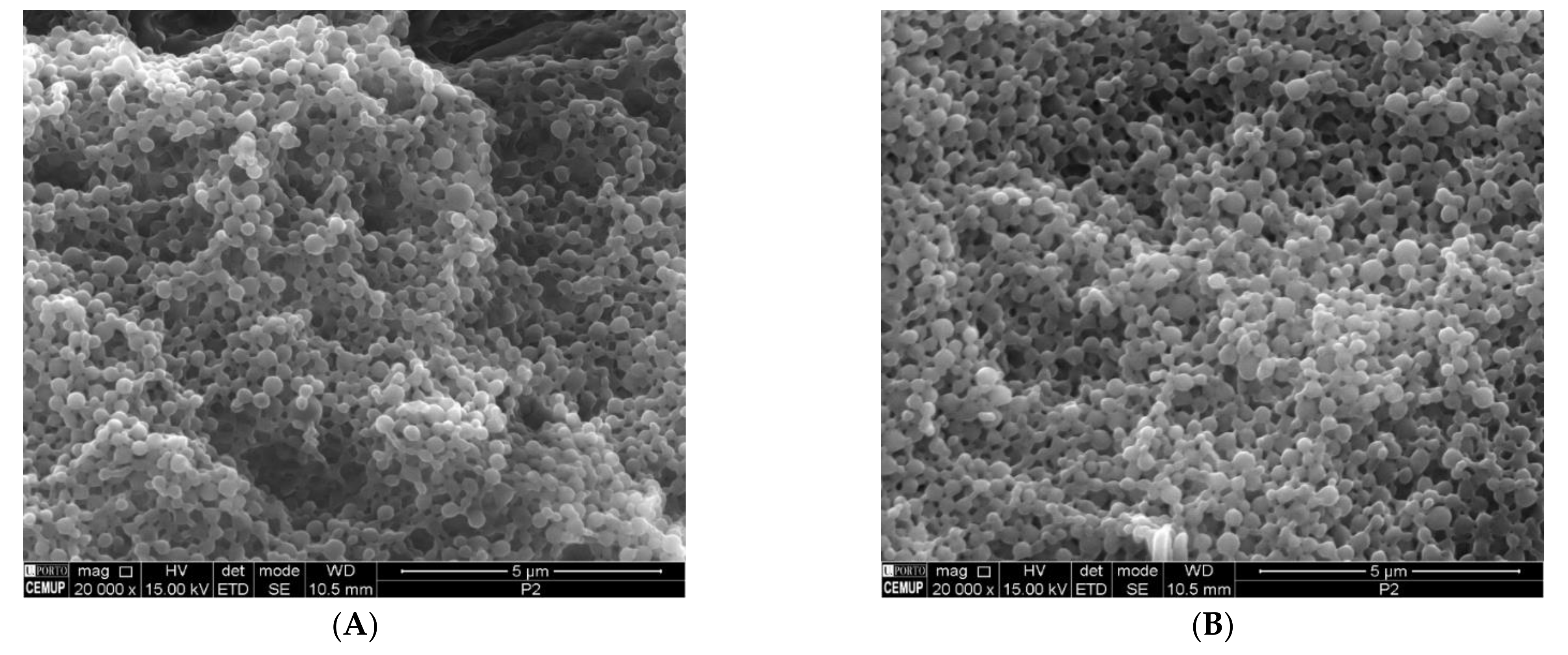 Materials 14 06421 g002