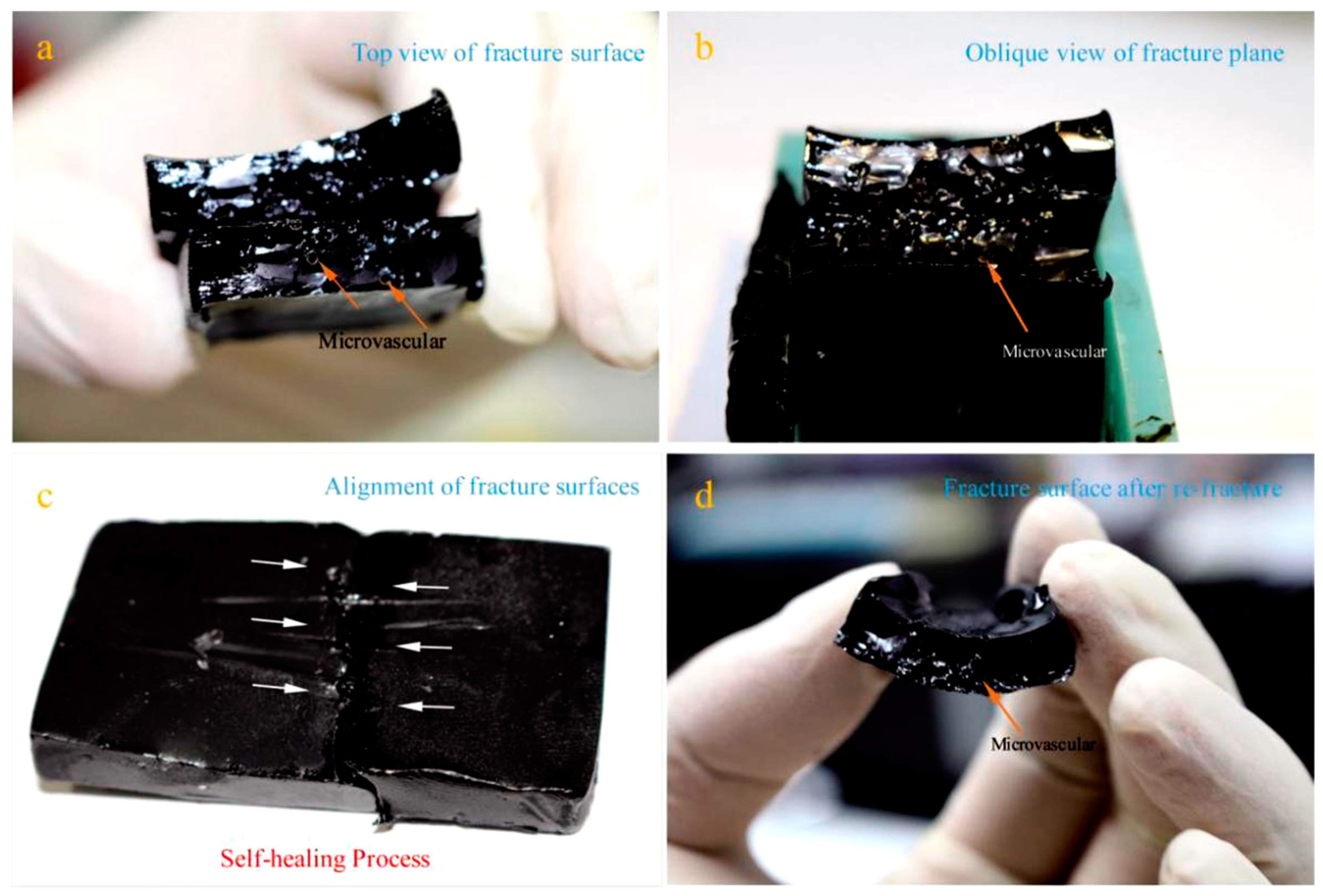 Materials 14 06431 g006 550