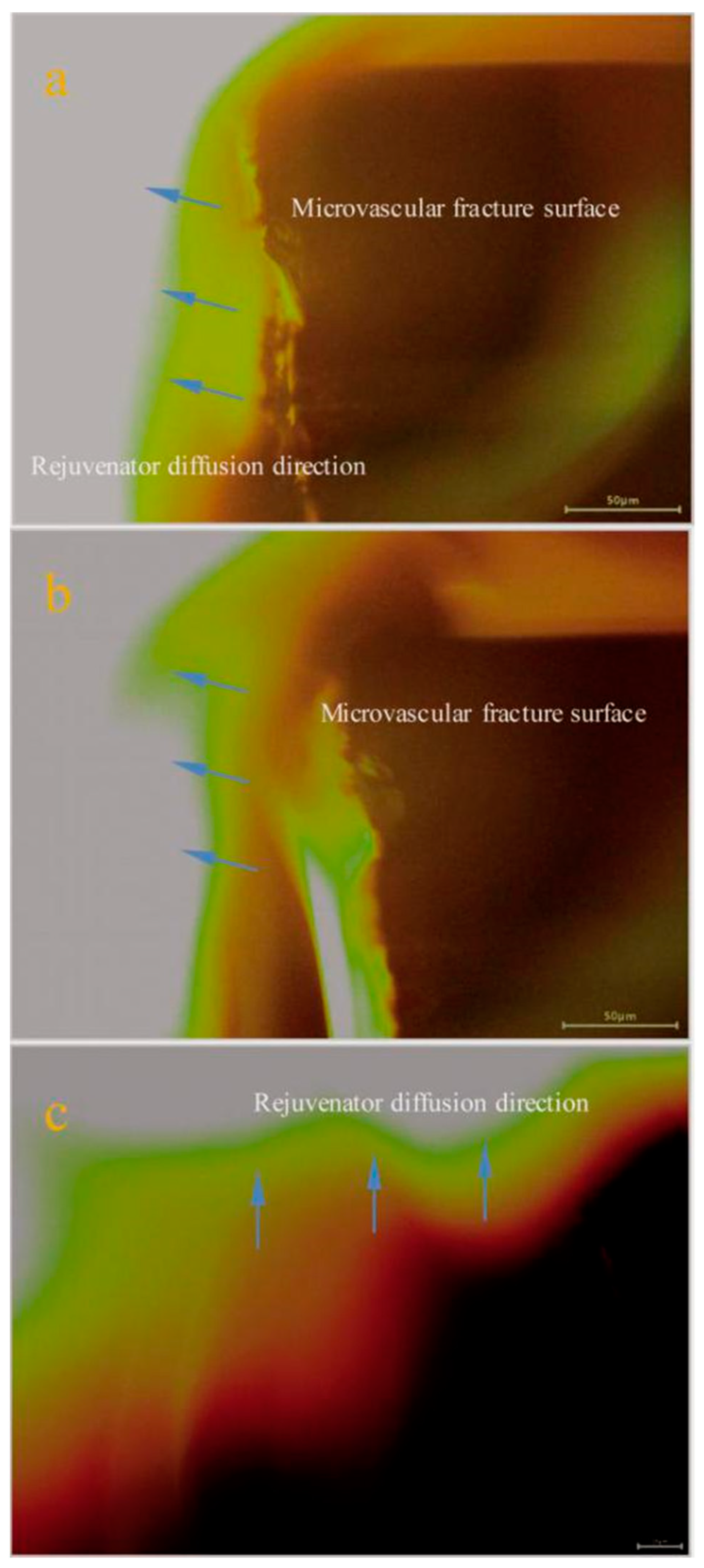 Materials 14 06431 g007 550