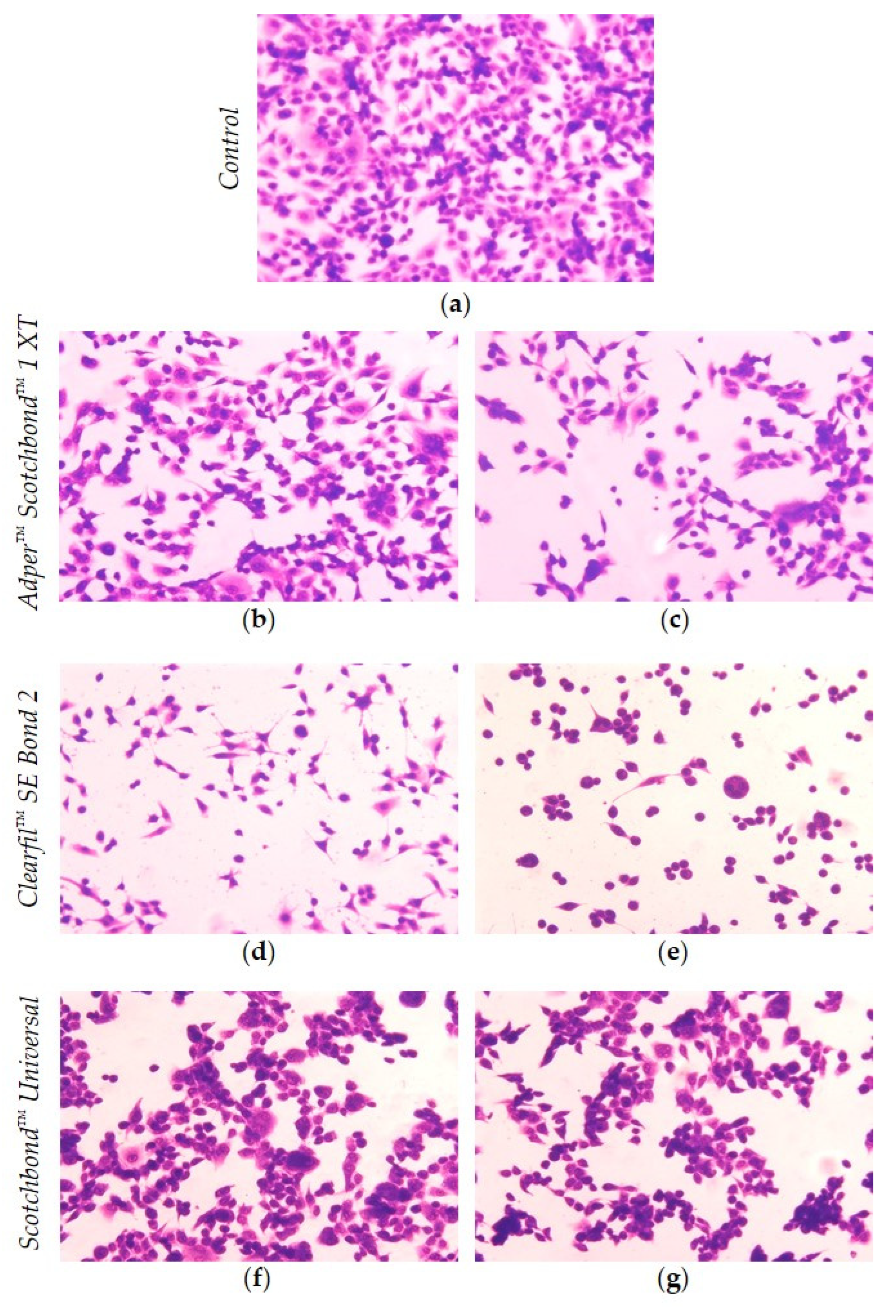Materials 14 06435 g005
