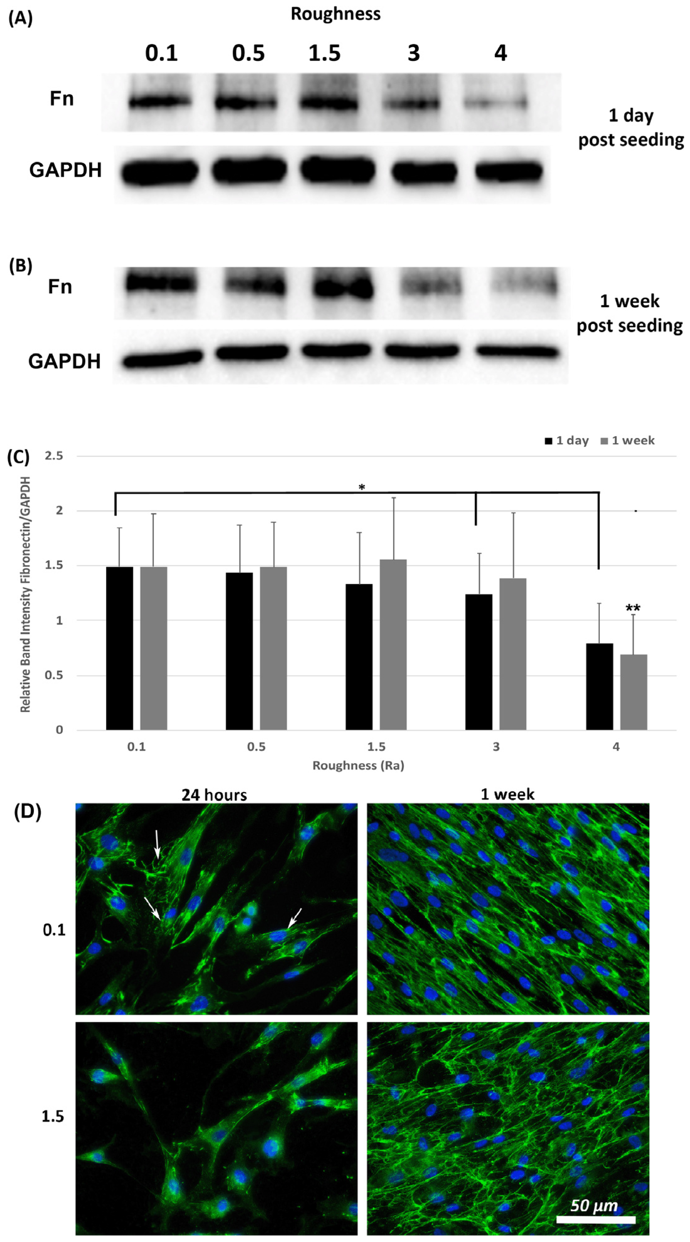 Materials 14 06447 g006
