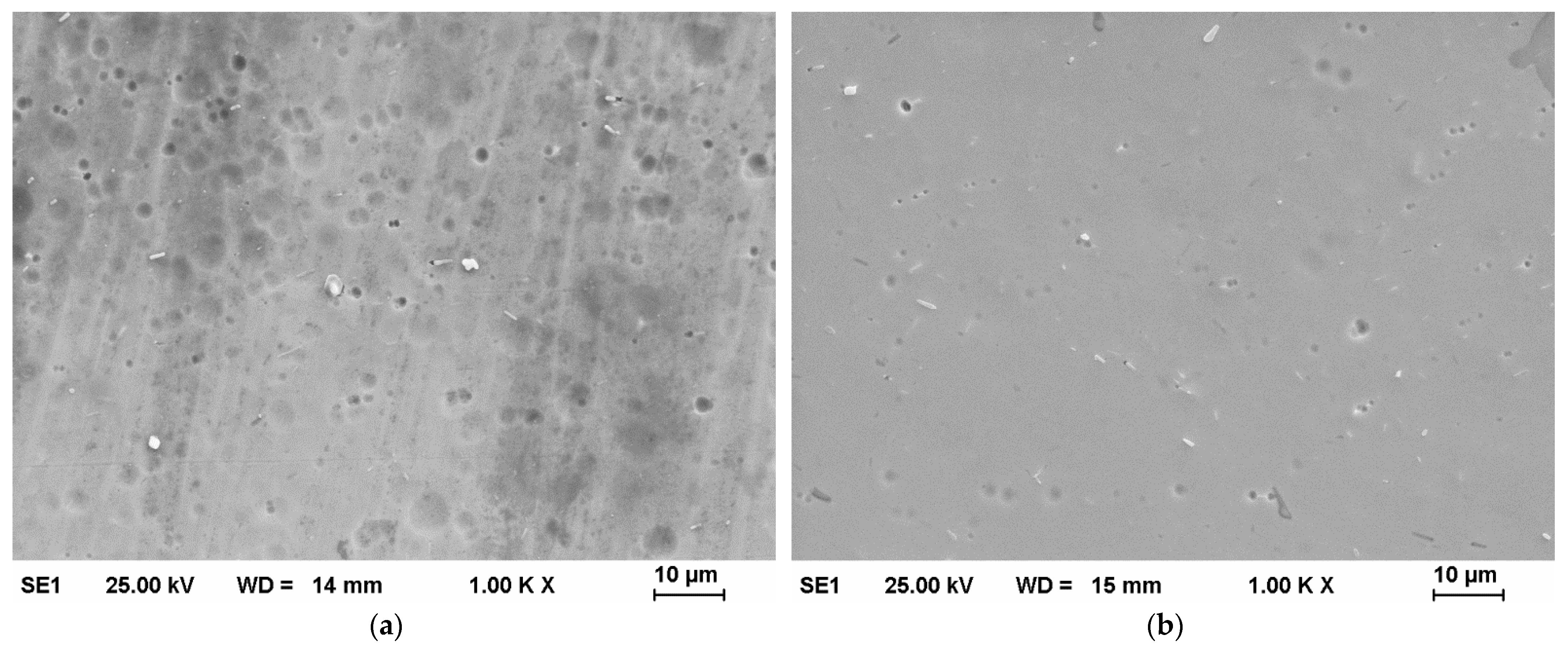 Materials 14 06450 g006