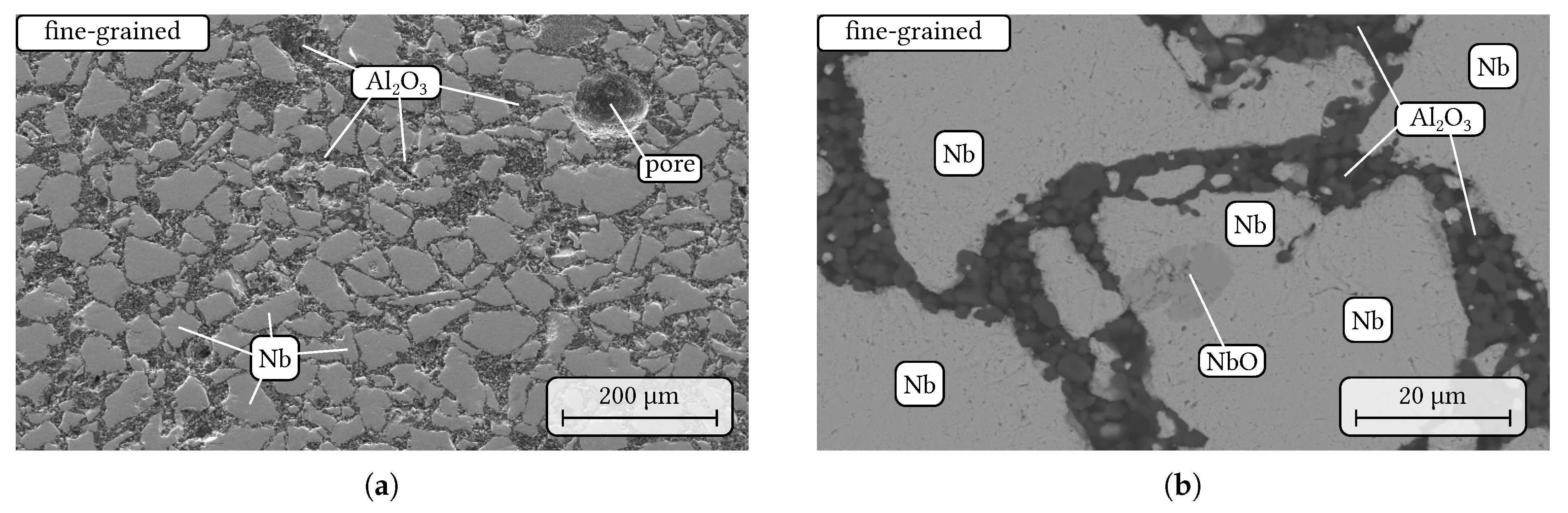 Materials 14 06453 g002