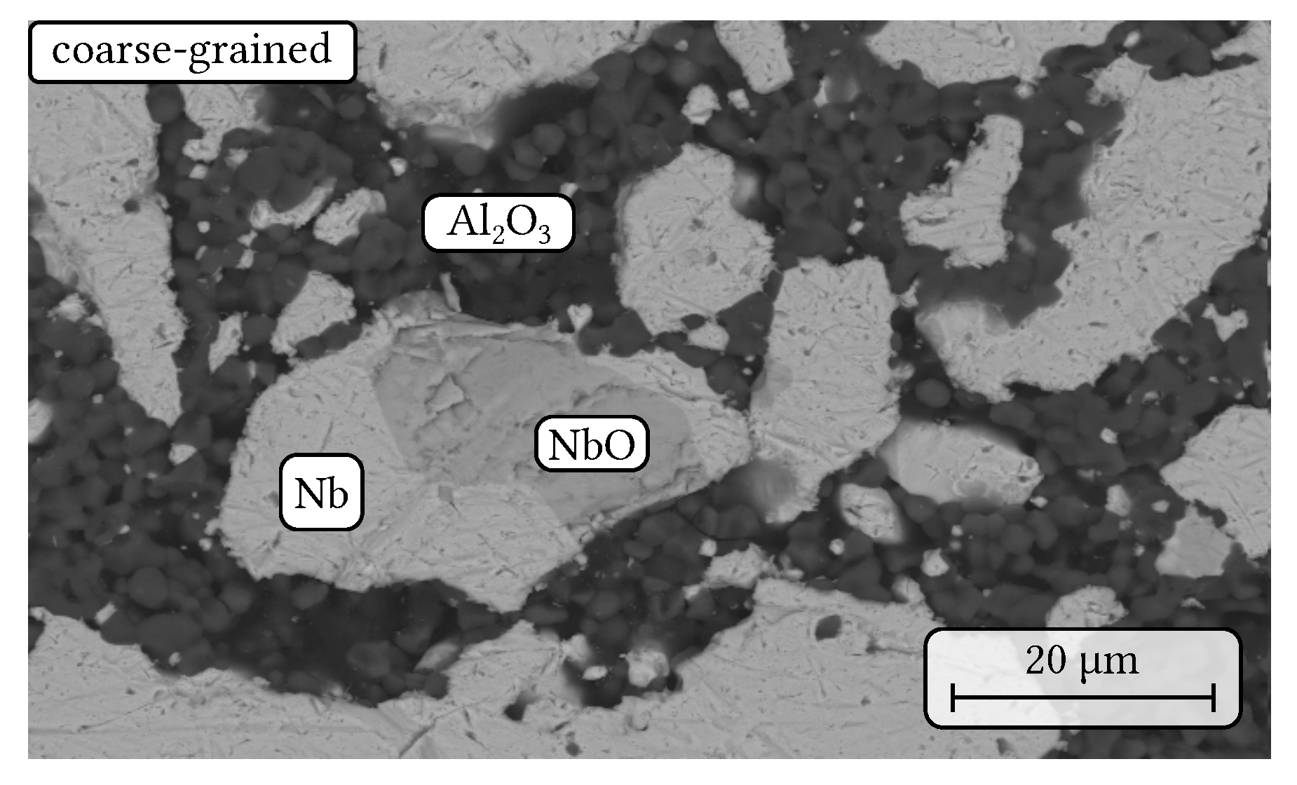 Materials 14 06453 g010